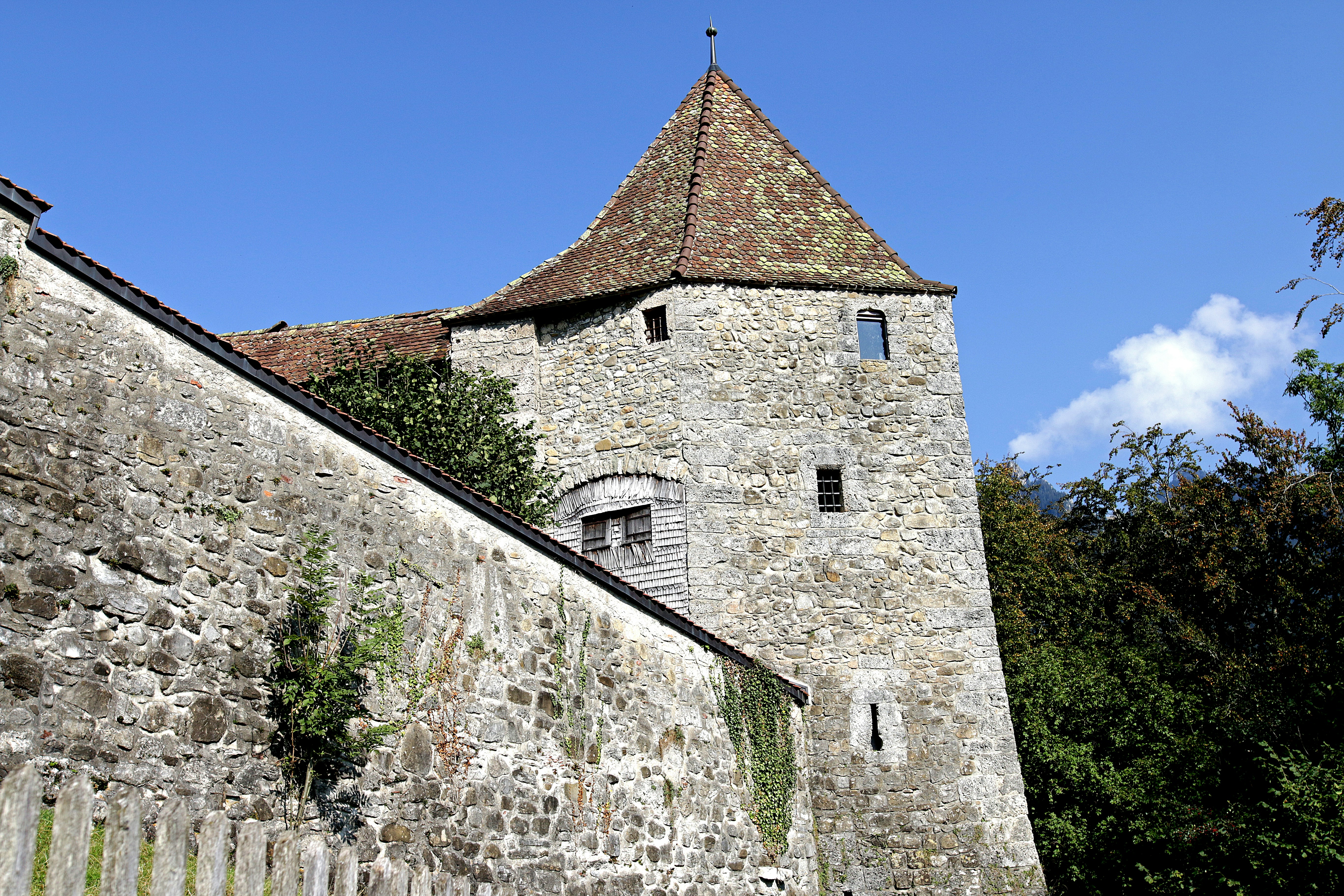 Free Unsplash photo from Chris Petrow