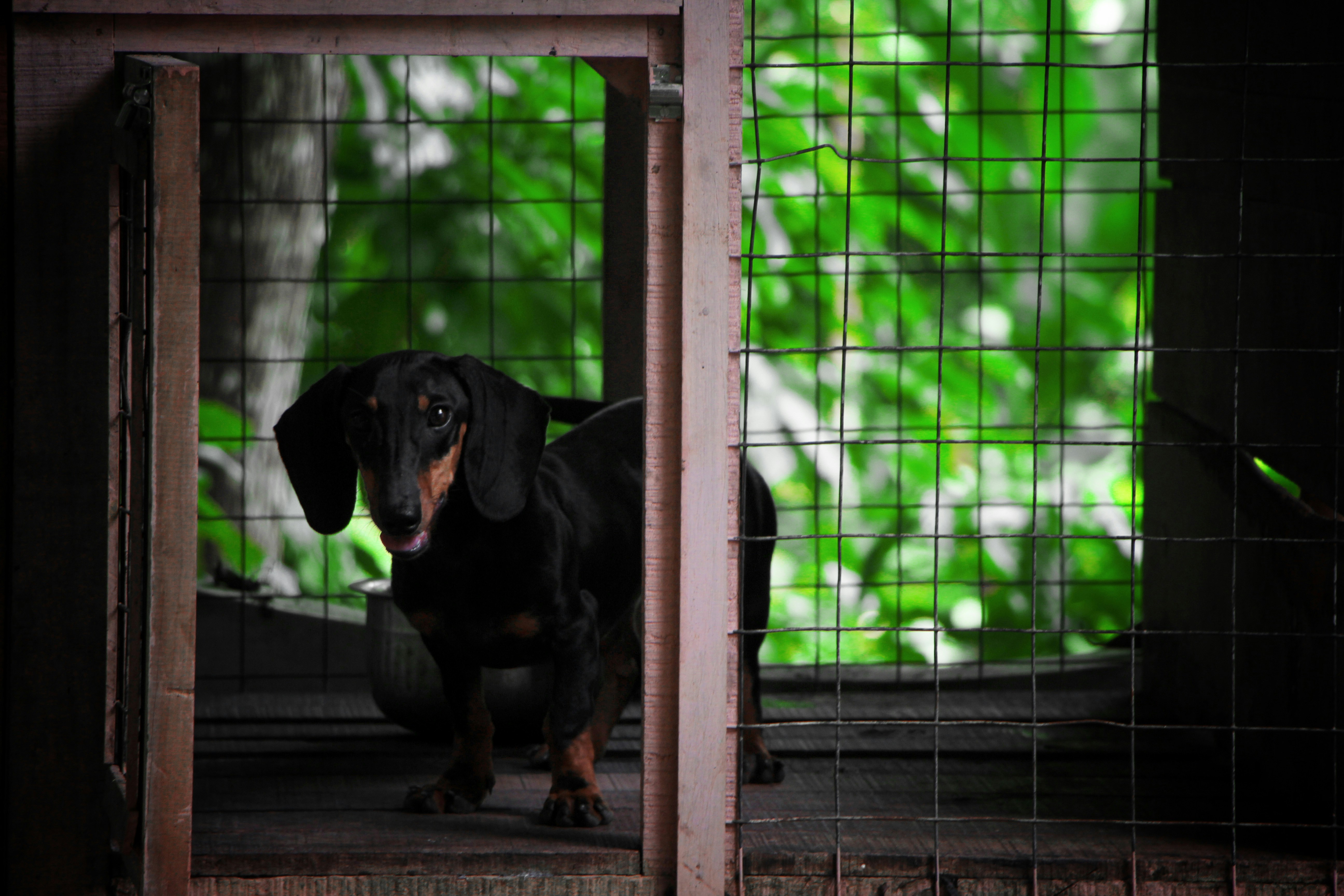 Free Unsplash photo from George G