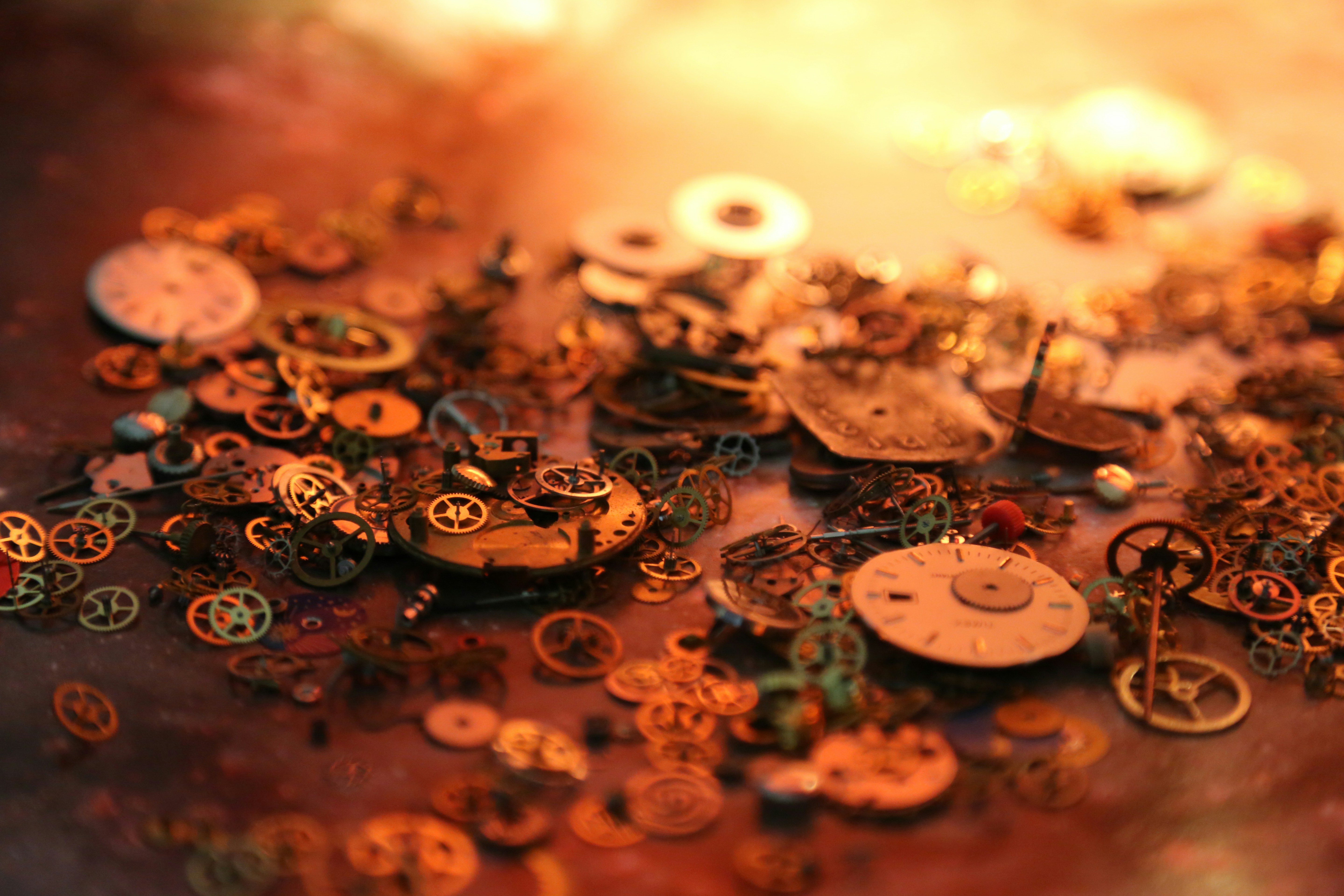 Free Unsplash photo from Steven Knurr