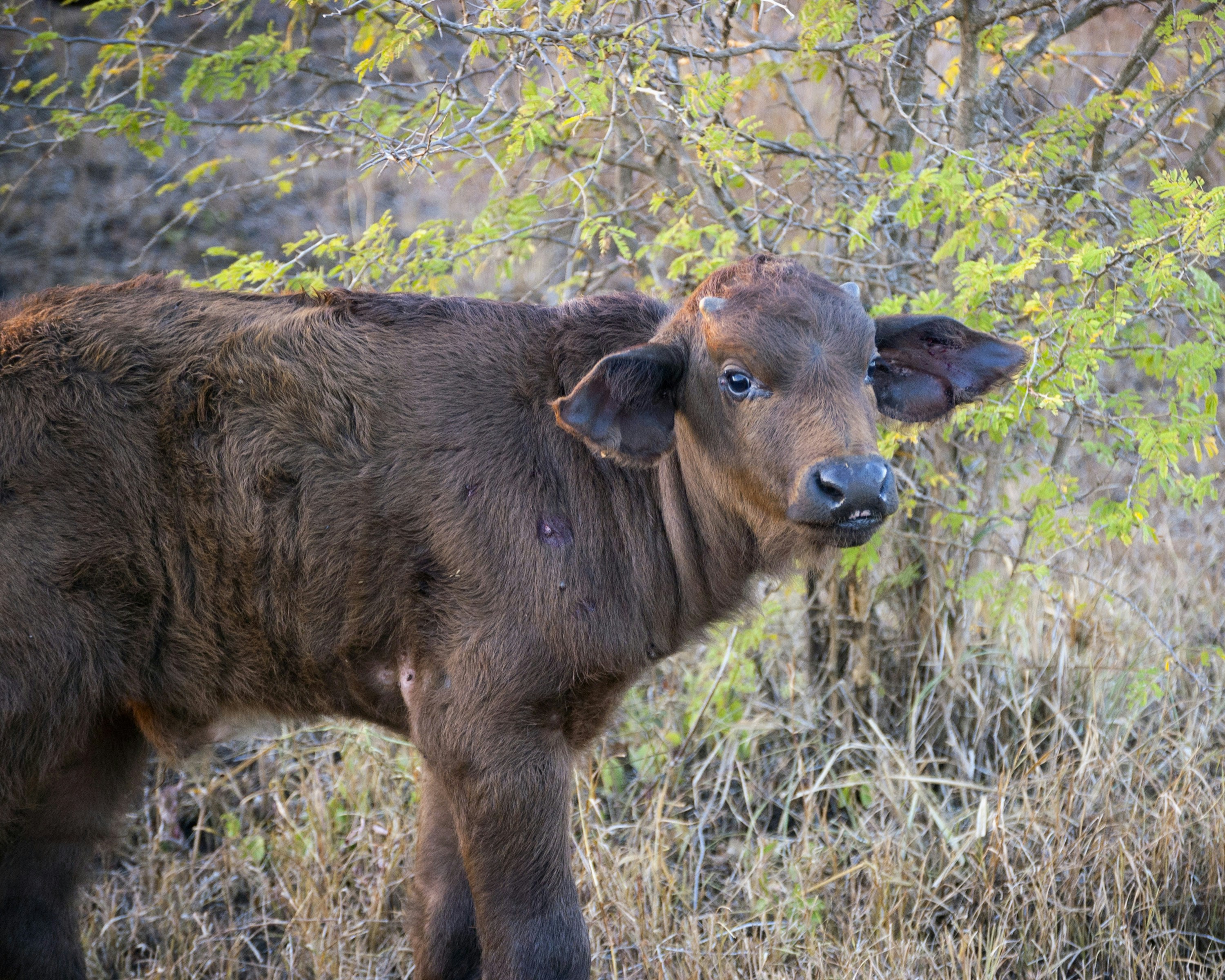 Free Unsplash photo from Kevin Folk