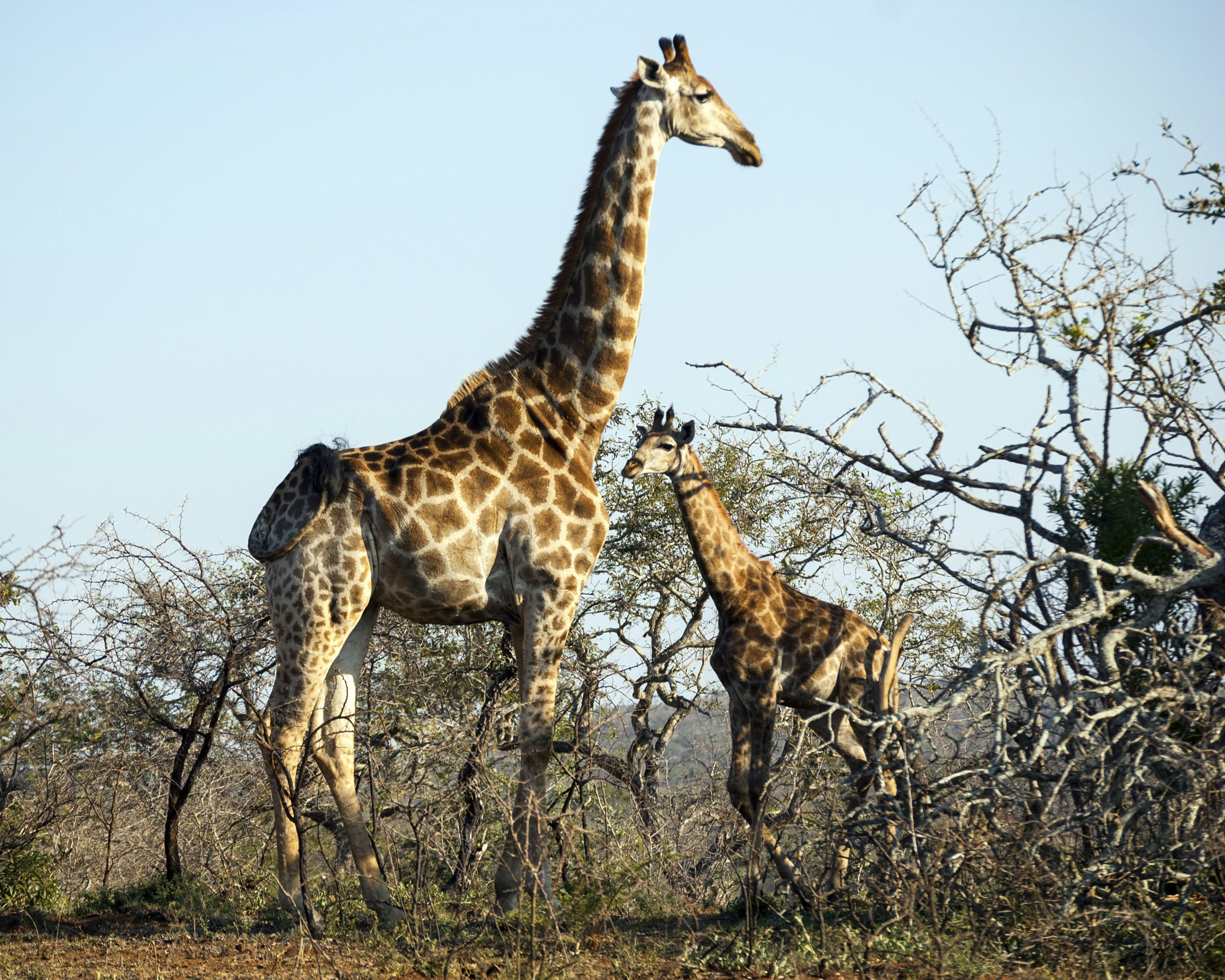 Free Unsplash photo from Kevin Folk