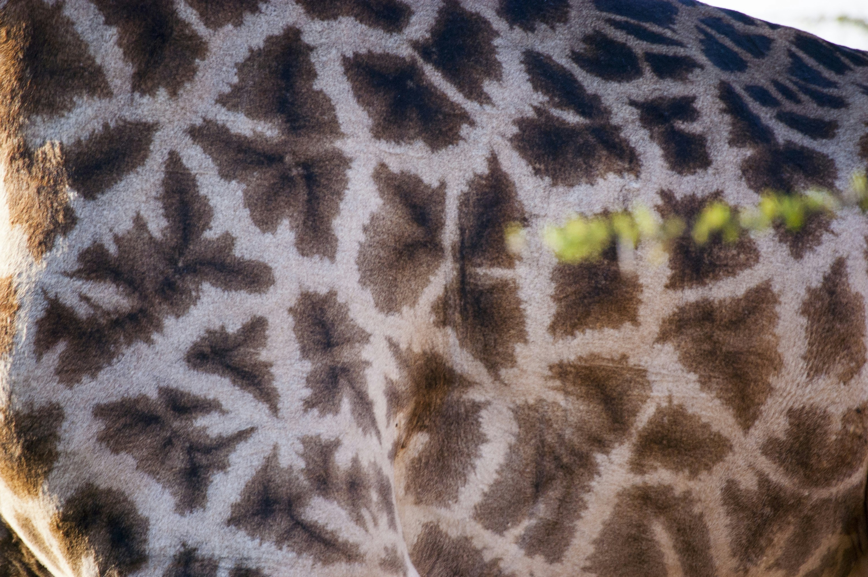 Free Unsplash photo from Kevin Folk