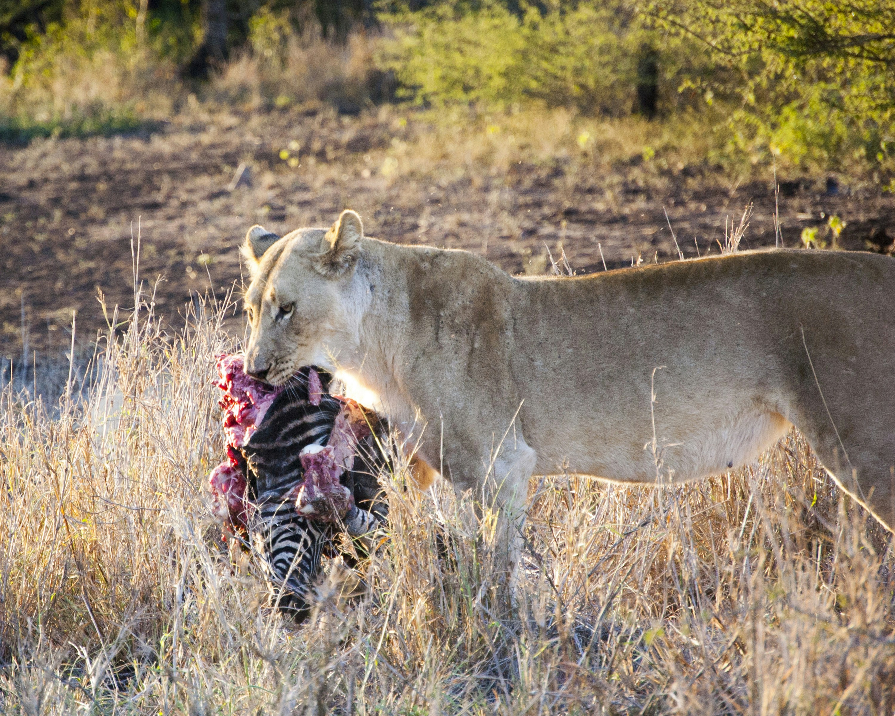 Free Unsplash photo from Kevin Folk