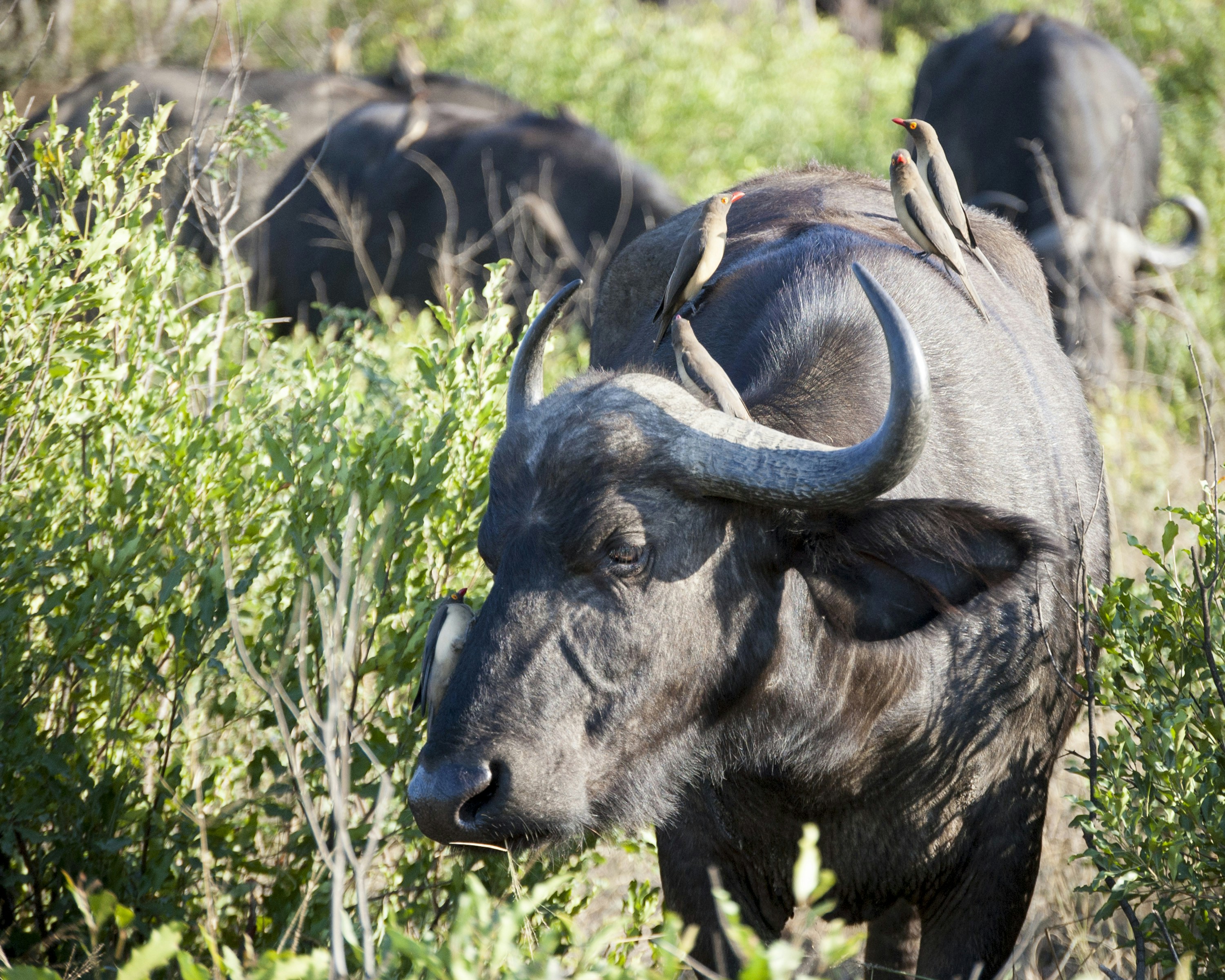 Free Unsplash photo from Kevin Folk