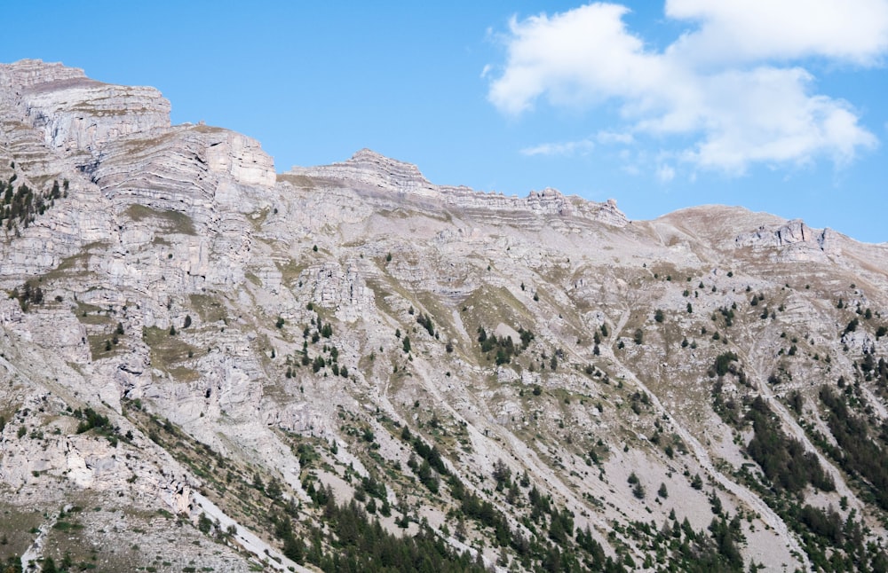 snow capped mountain