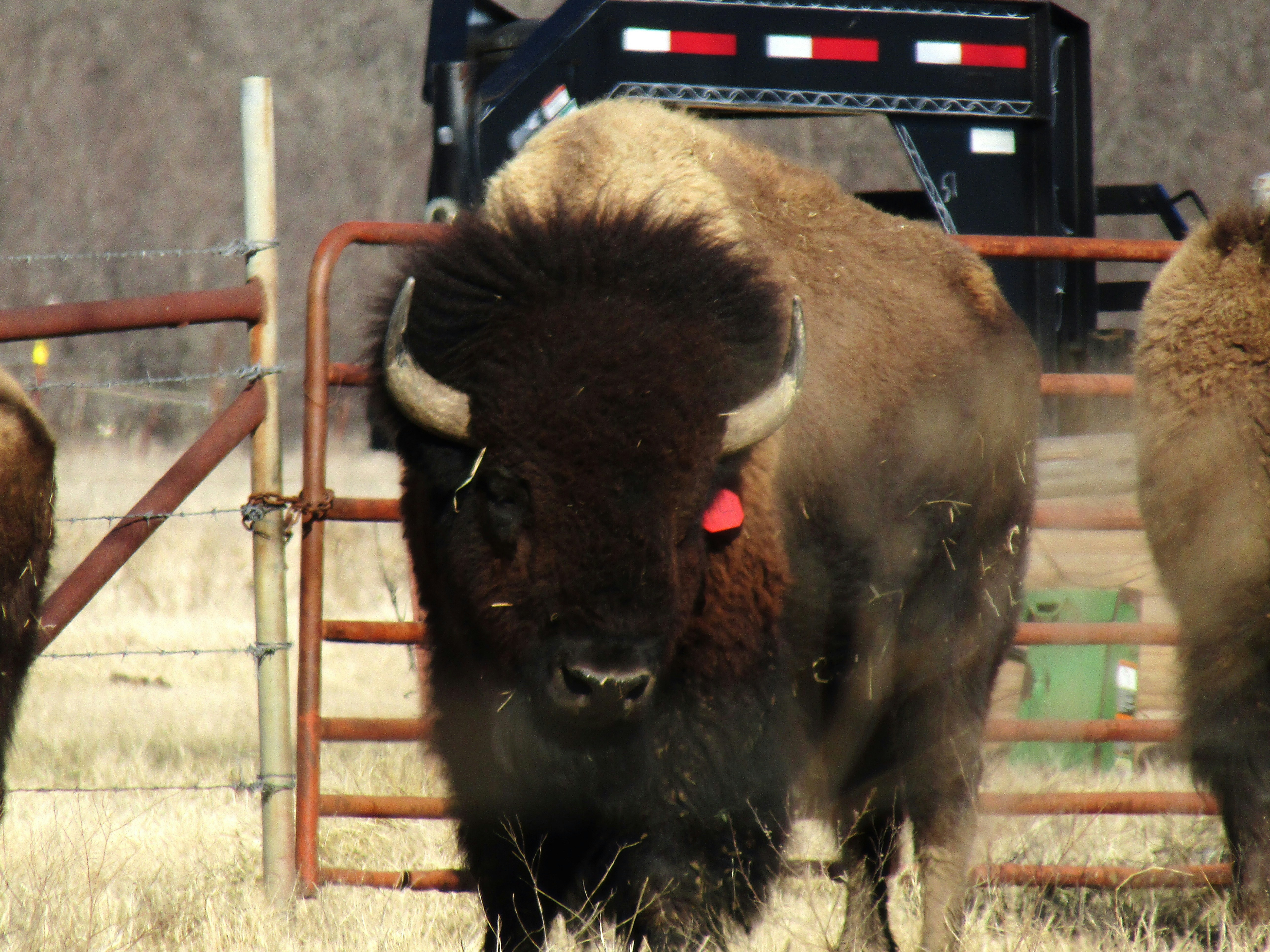 Free Unsplash photo from Christney Ross