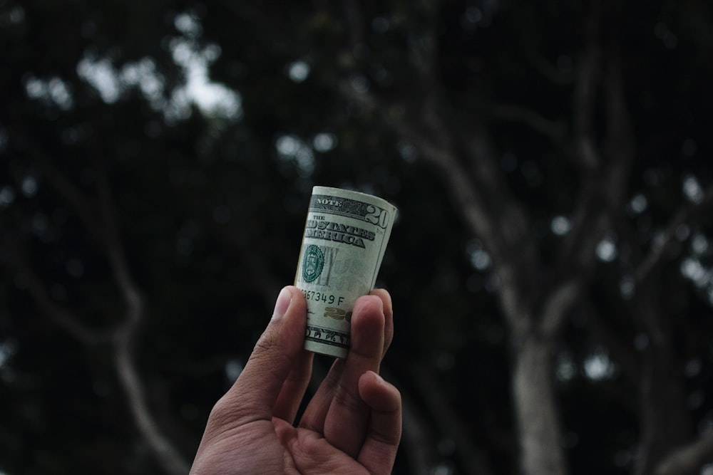 person holding U.S. dollar banknote