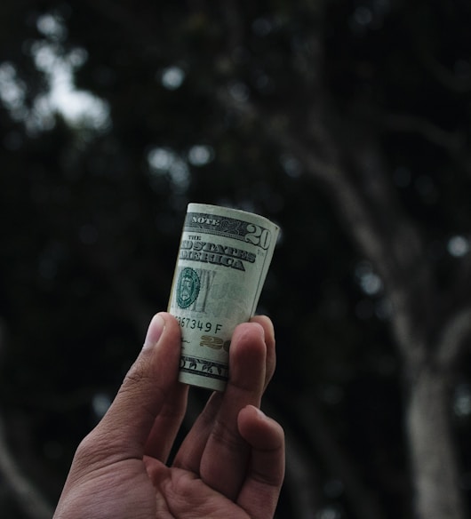 person holding U.S. dollar banknote