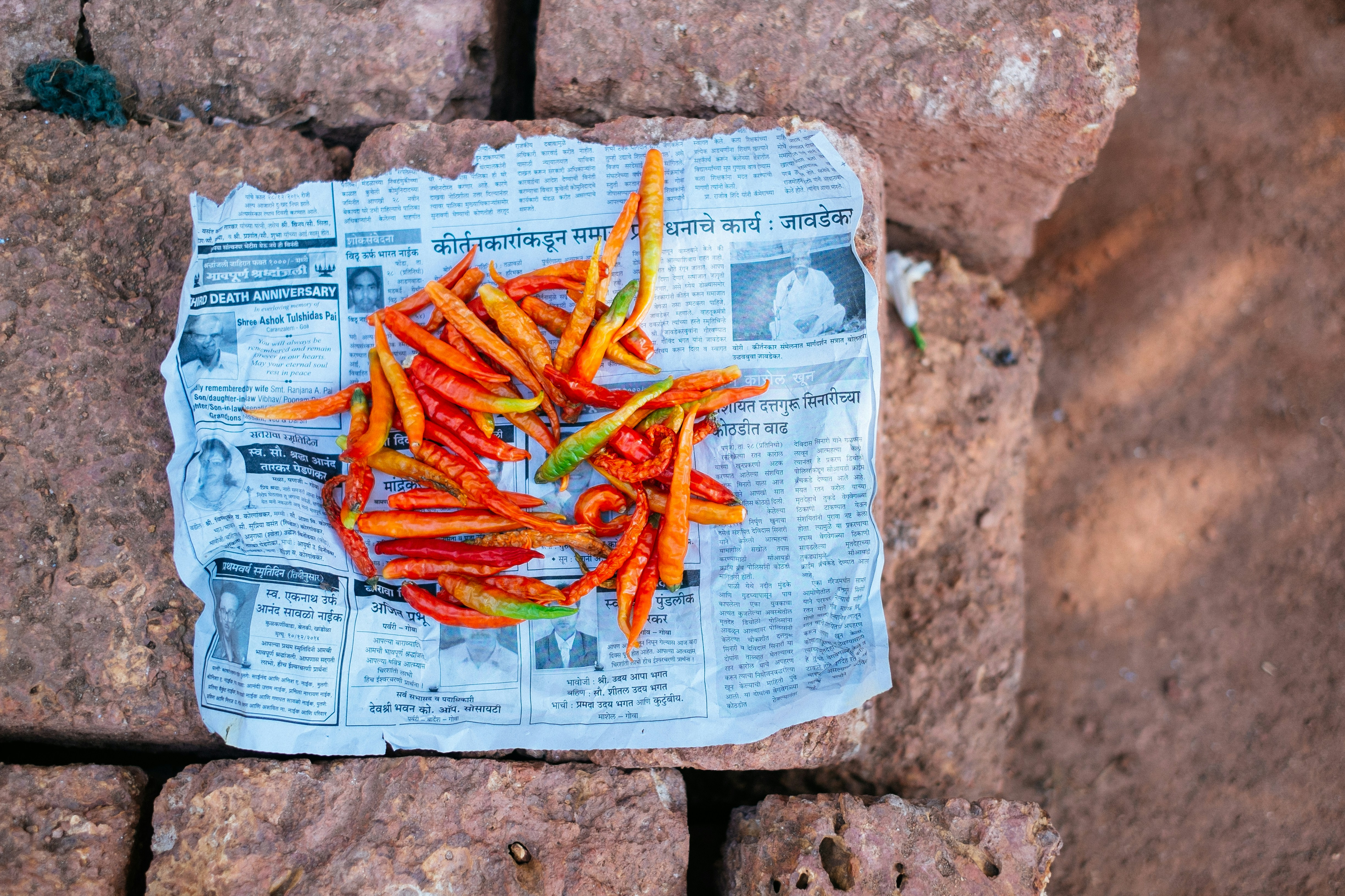 Free Unsplash photo from Jefferson Pires