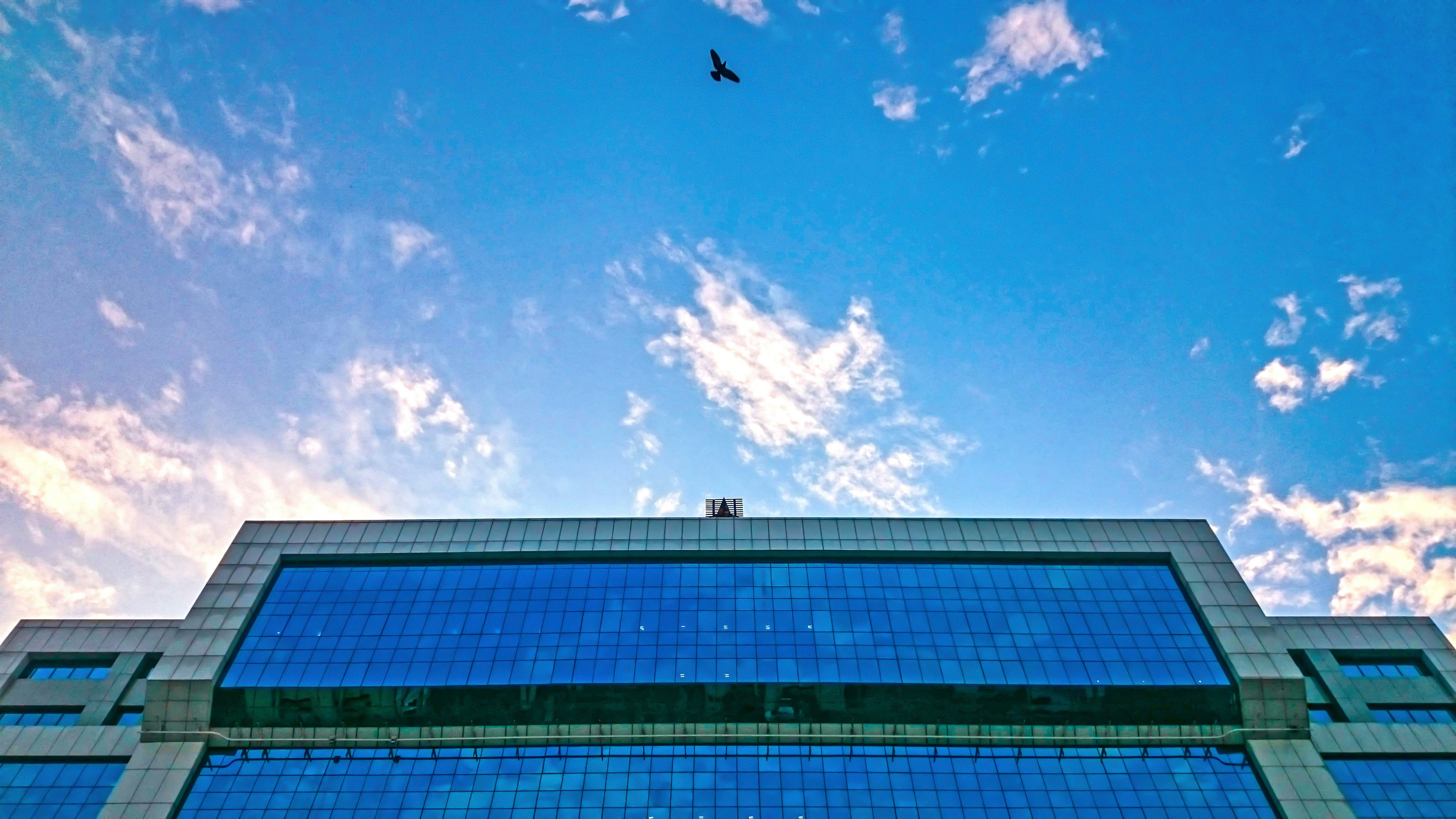 Free Unsplash photo from Arun George