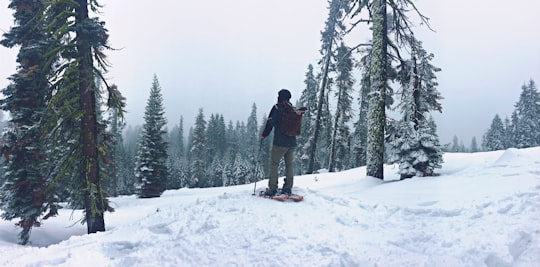 man riding on snowboard in YOSEMITE NATIONAL PARK United States