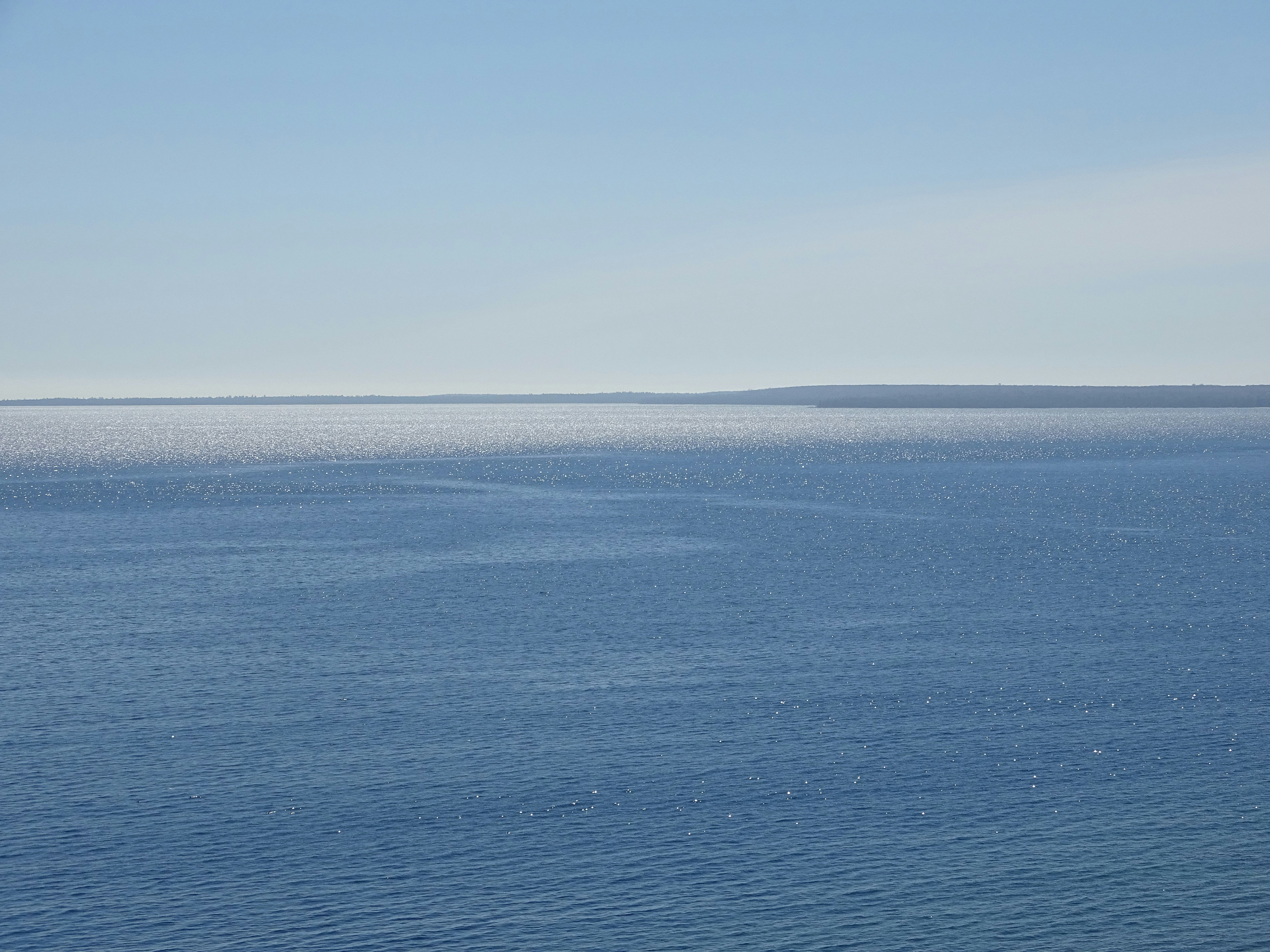 Free Unsplash photo from Maya Bielik