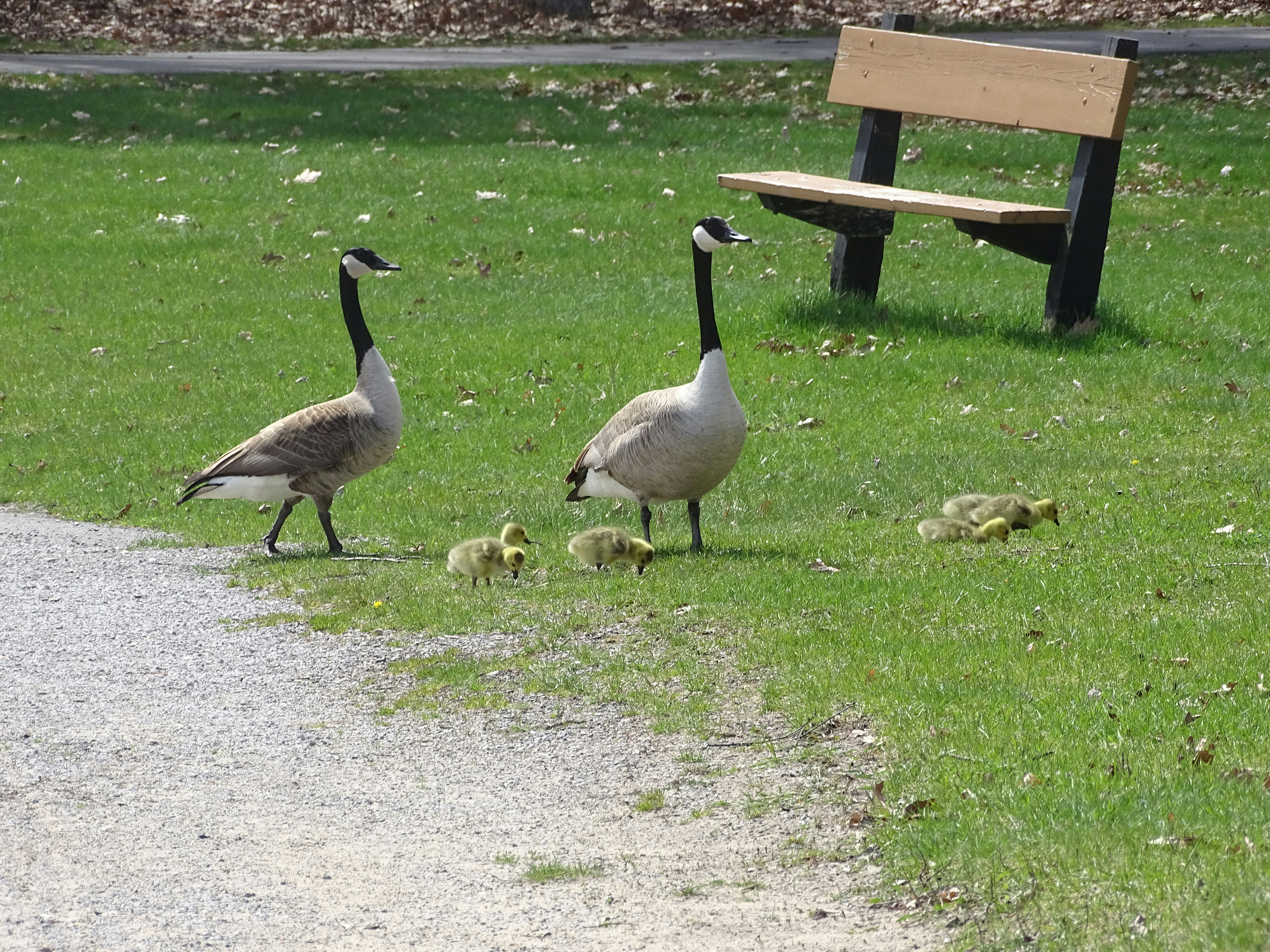 Free Unsplash photo from Maya Bielik