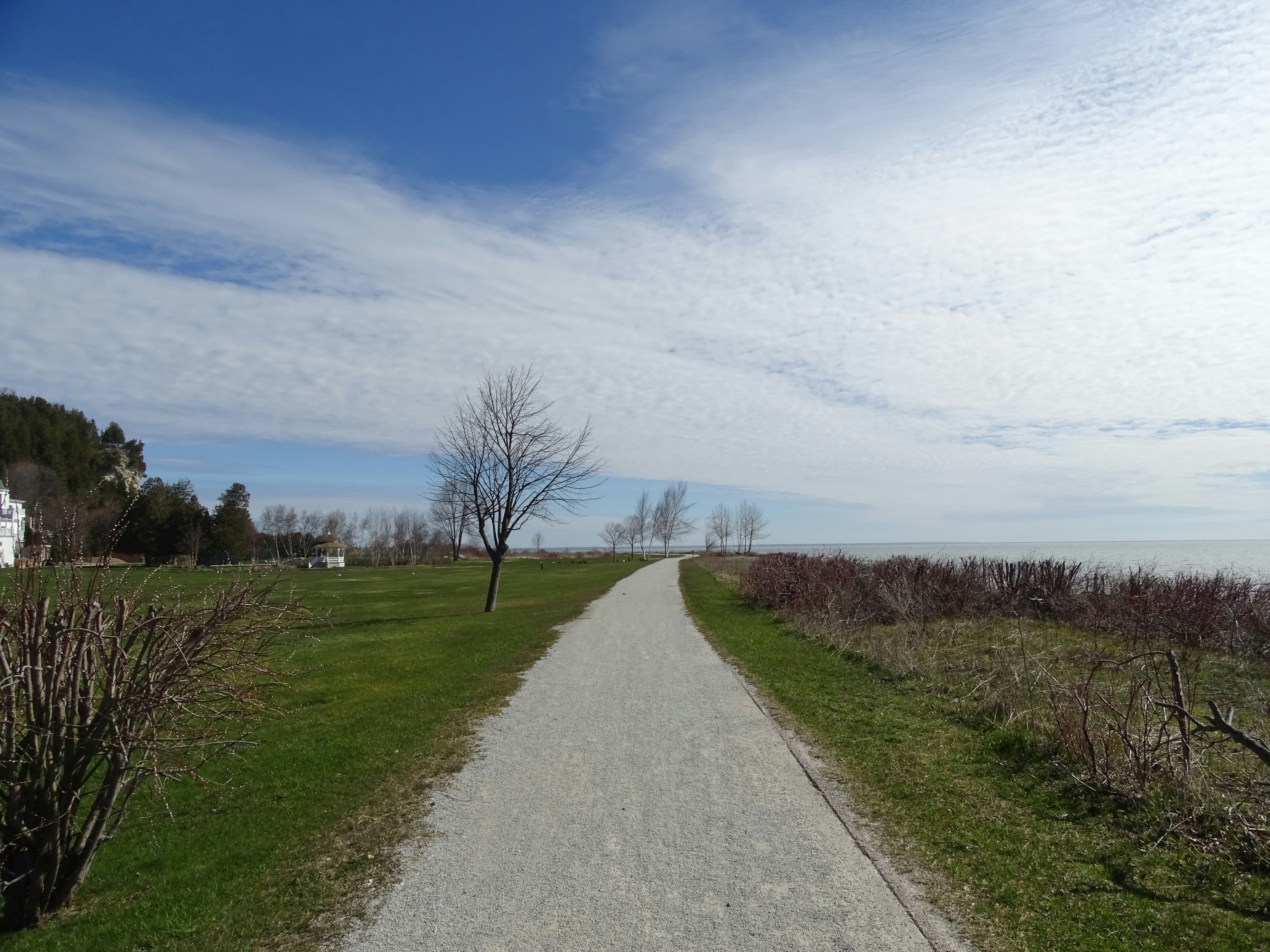 Free Unsplash photo from Maya Bielik