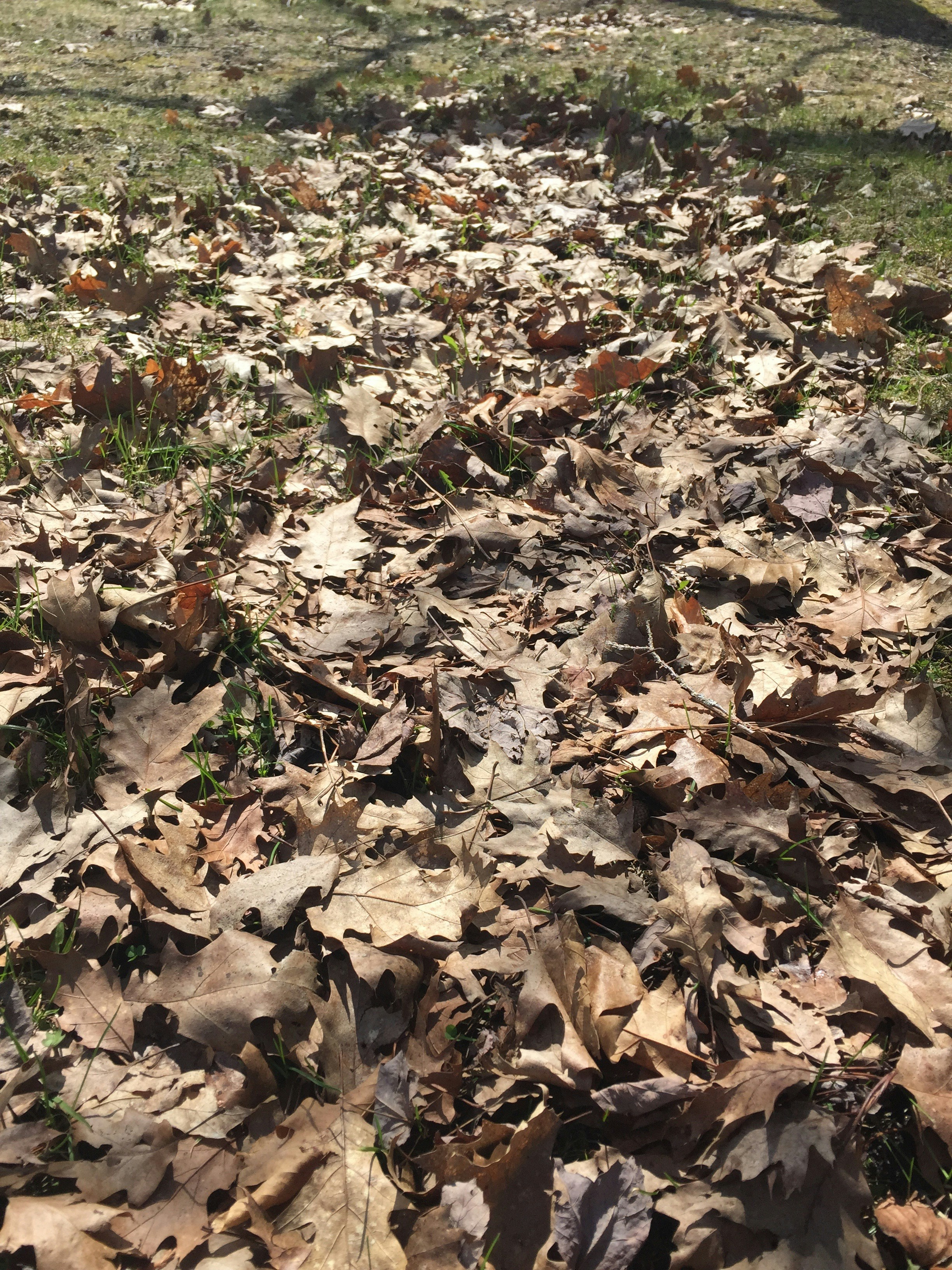 Free Unsplash photo from Maya Bielik