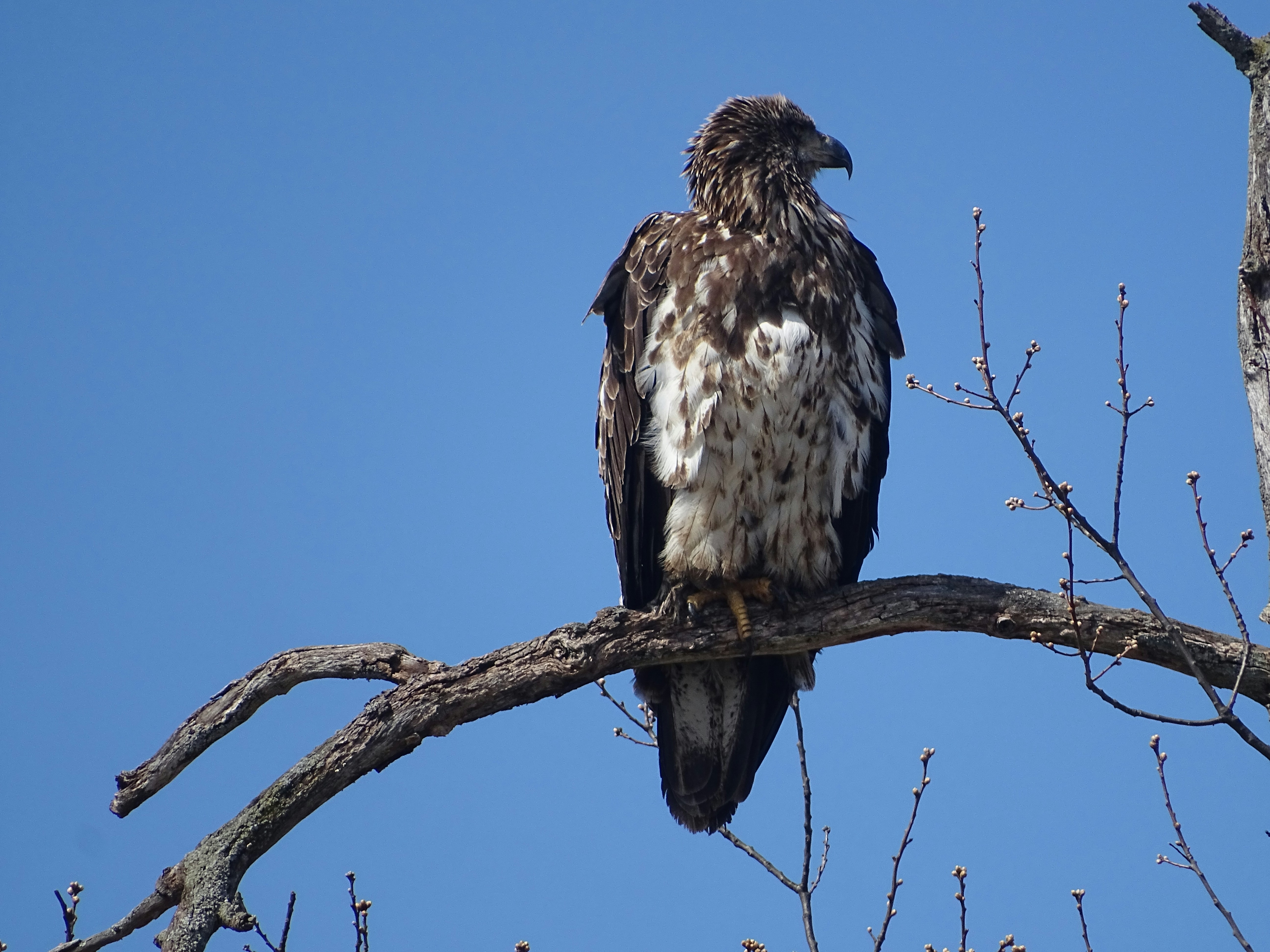 Free Unsplash photo from Maya Bielik