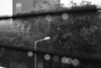 Raindrops falling are captured against the background of a leafy environment, with the image slightly blurred and monochromatic. A streetlight is faintly visible in the mid-ground, and there are multiple horizontal lines that seem to be part of a window or a barrier.
