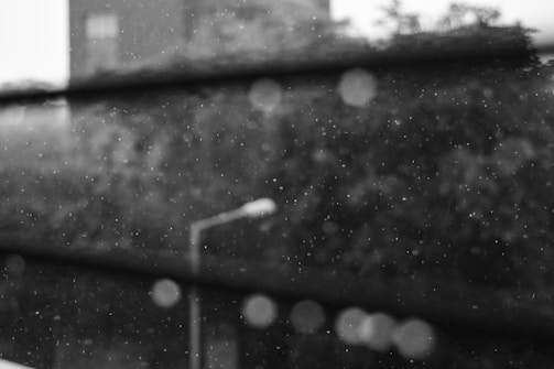Raindrops falling are captured against the background of a leafy environment, with the image slightly blurred and monochromatic. A streetlight is faintly visible in the mid-ground, and there are multiple horizontal lines that seem to be part of a window or a barrier.