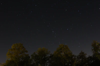 Starry night sky over a quiet forest clearing with silhouetted trees.