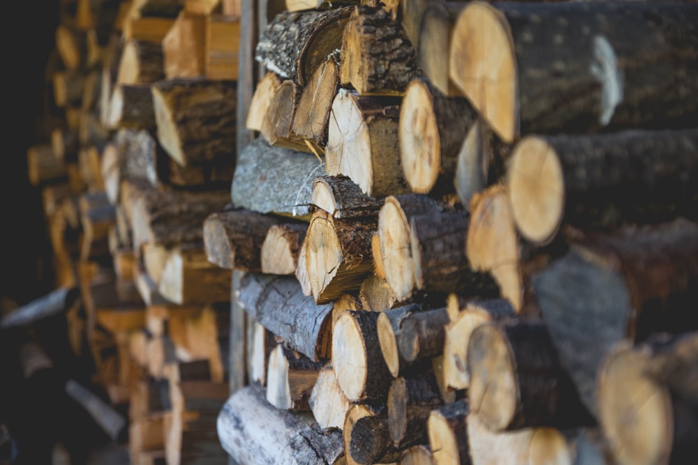 shallow focus photography of firewood lot