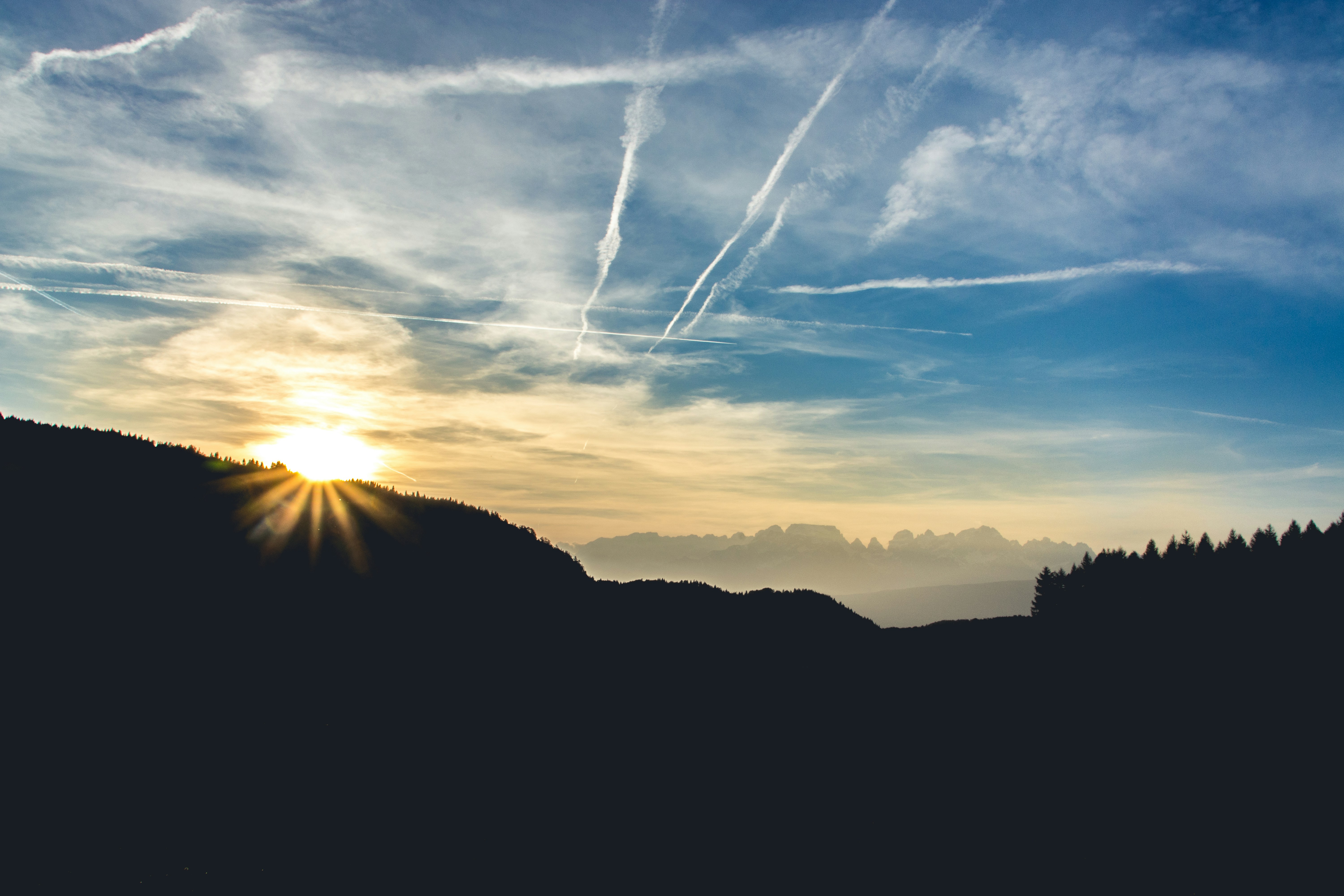 smoke trail on sky over tall trees