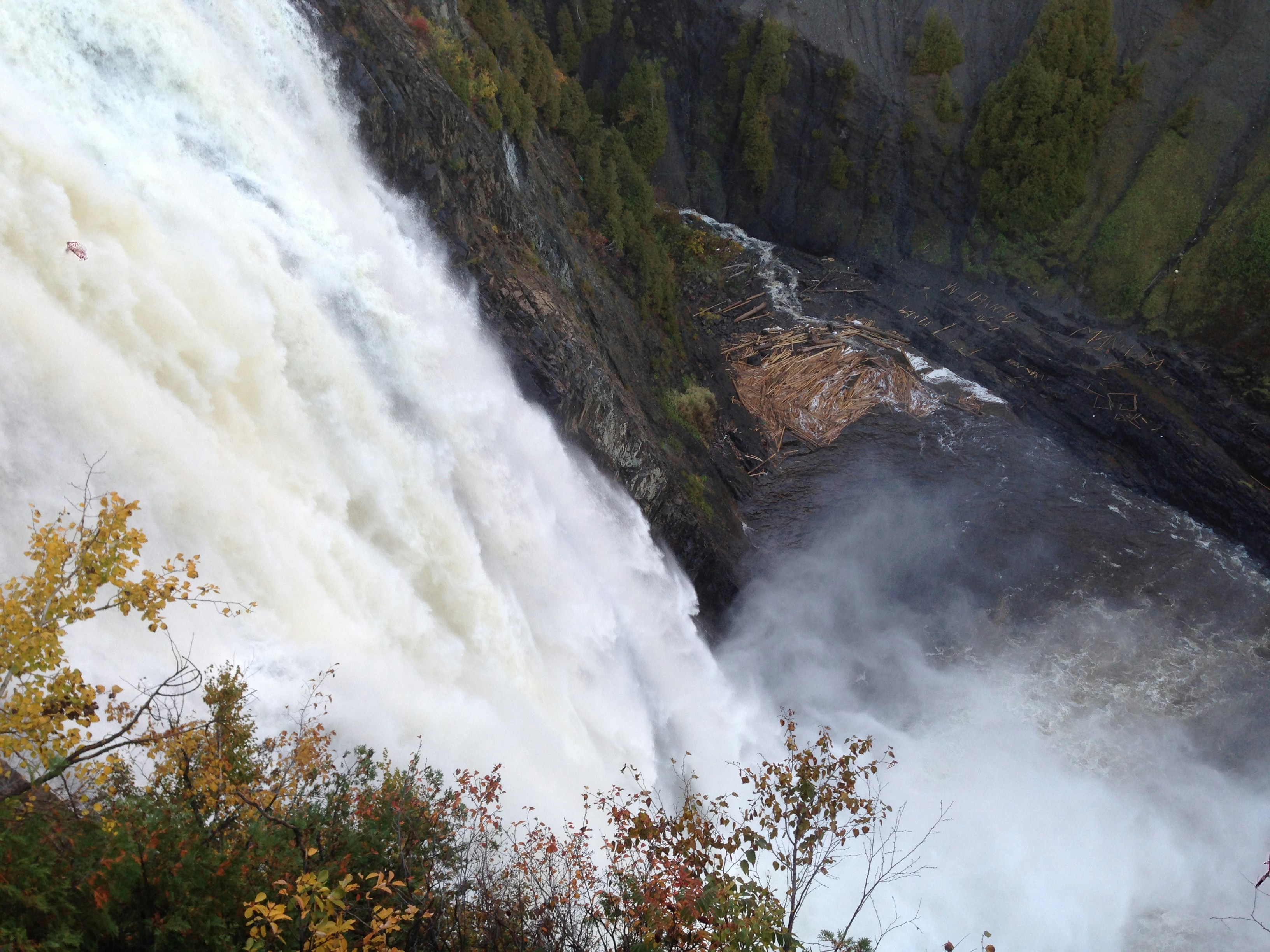 Free Unsplash photo from Catherine Wang