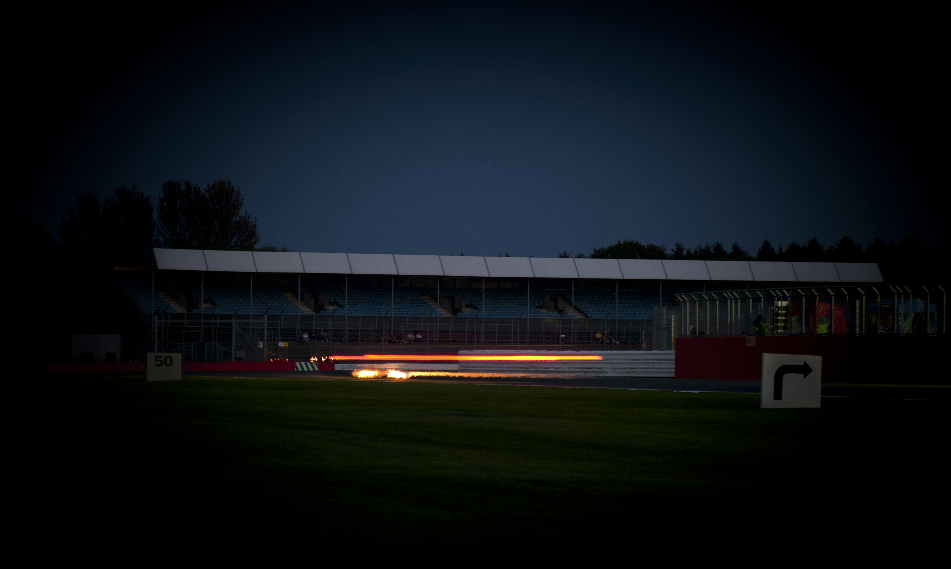 Bromeliad Care Secrets: Unleash the Flaming Sword