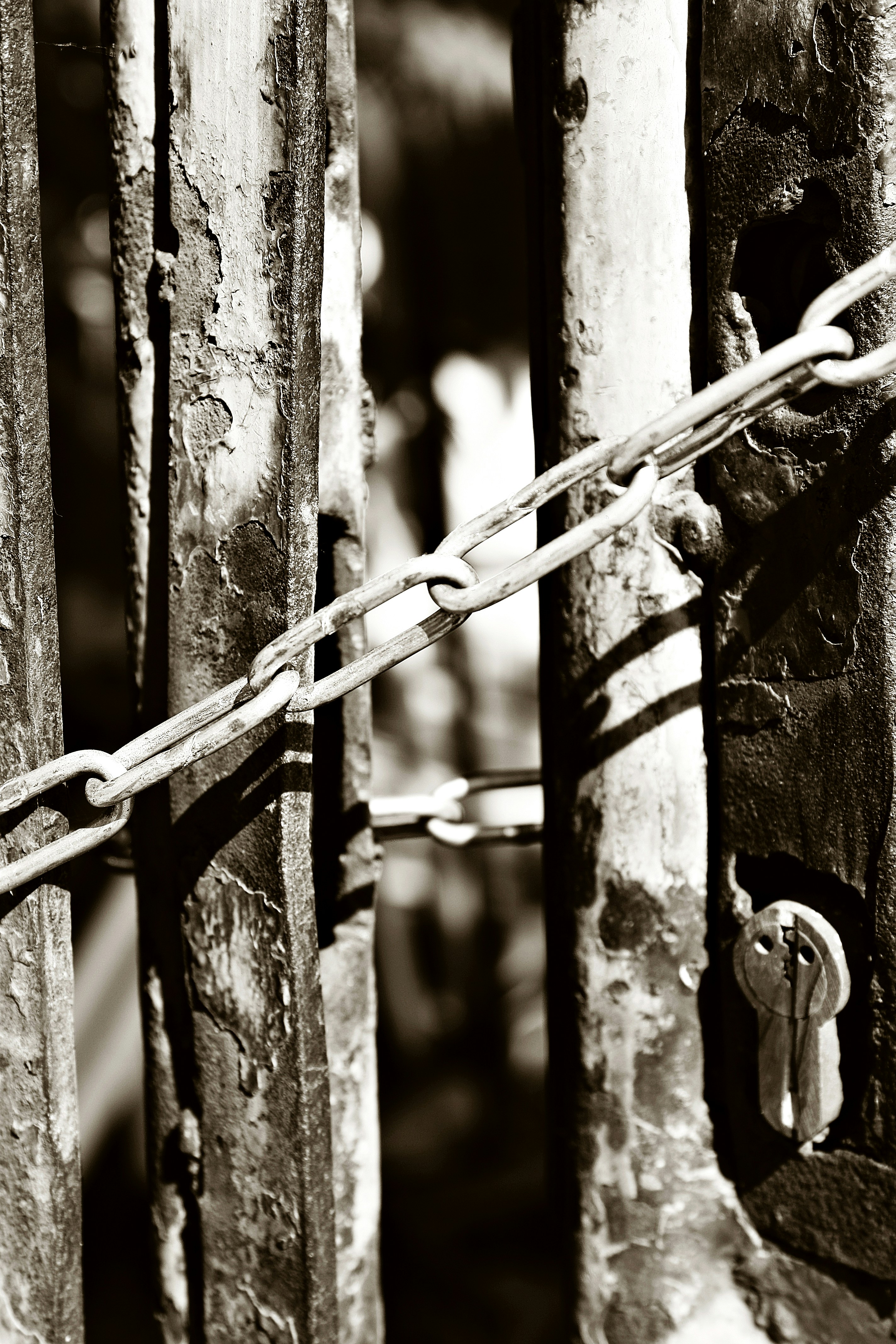 Free Unsplash photo from Maria Svecova