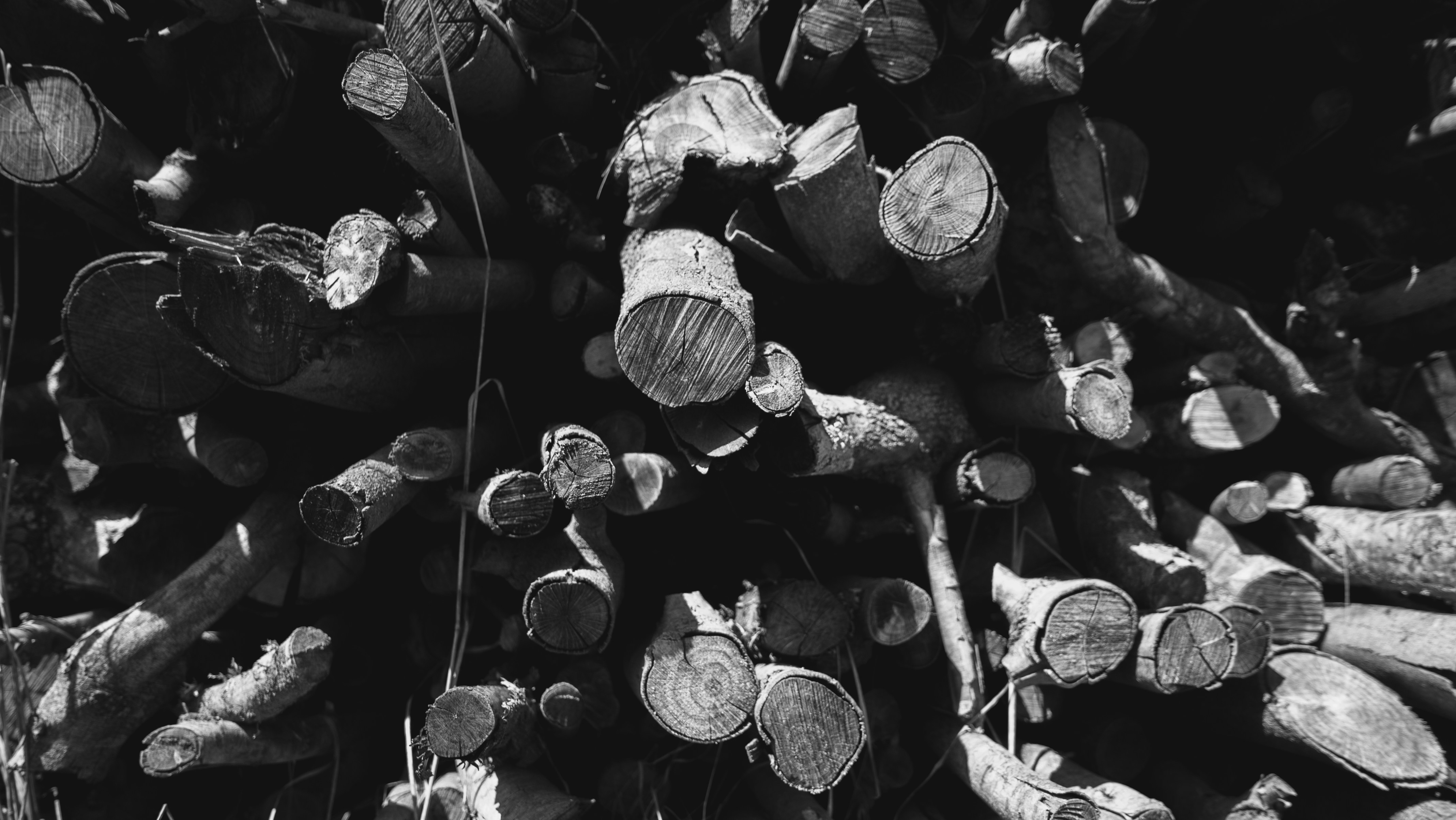 Free Unsplash photo from Dean Hayton