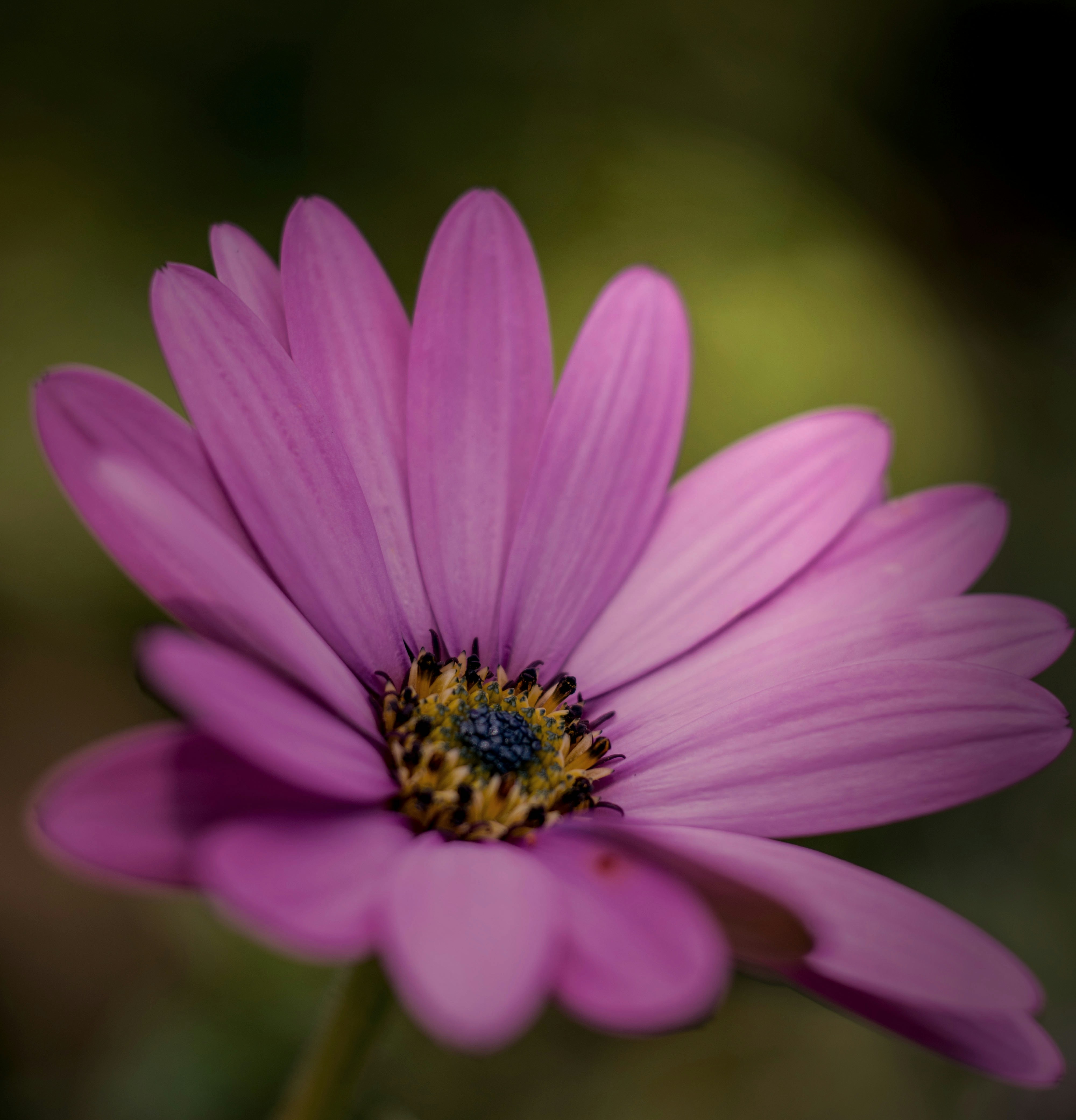 Free Unsplash photo from Richard Brown