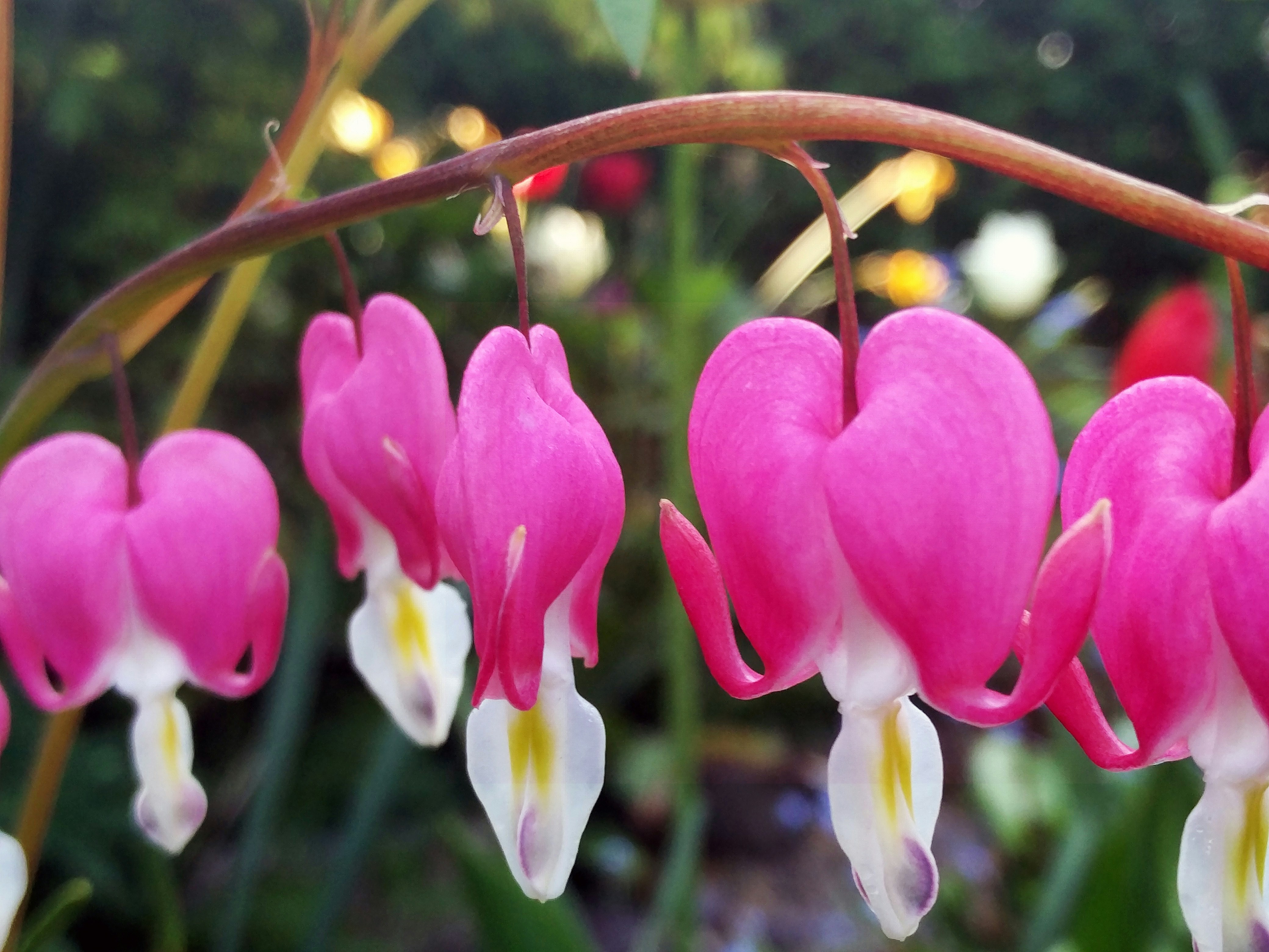 Free Unsplash photo from Richard Brown