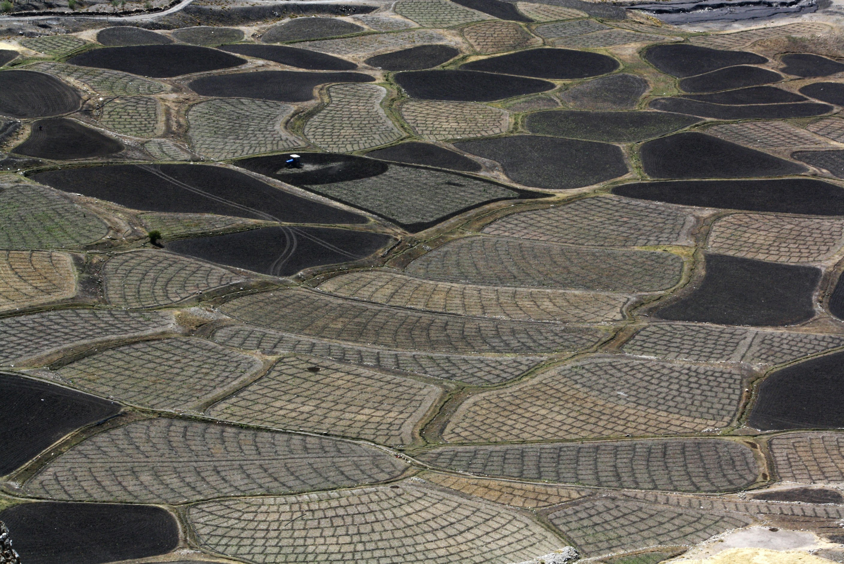 Free Unsplash photo from Milind Kaduskar