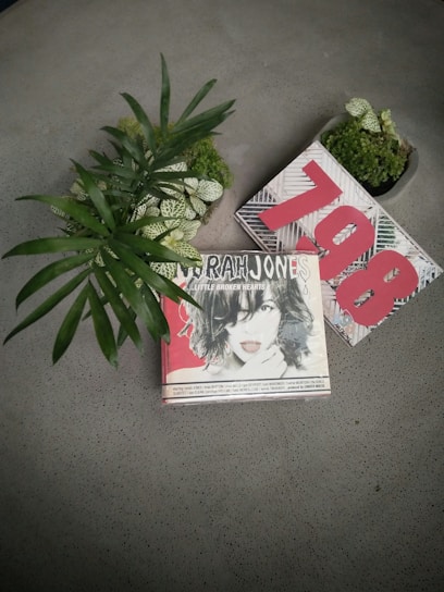 A potted plant with long green leaves is placed next to an album cover featuring a woman with short hair and bold lipstick. The album is titled 'Norah Jones: Little Broken Hearts'. Next to it is a decorative item with the number 798 in bold red numbers, surrounded by small potted plants with intricate leaves.