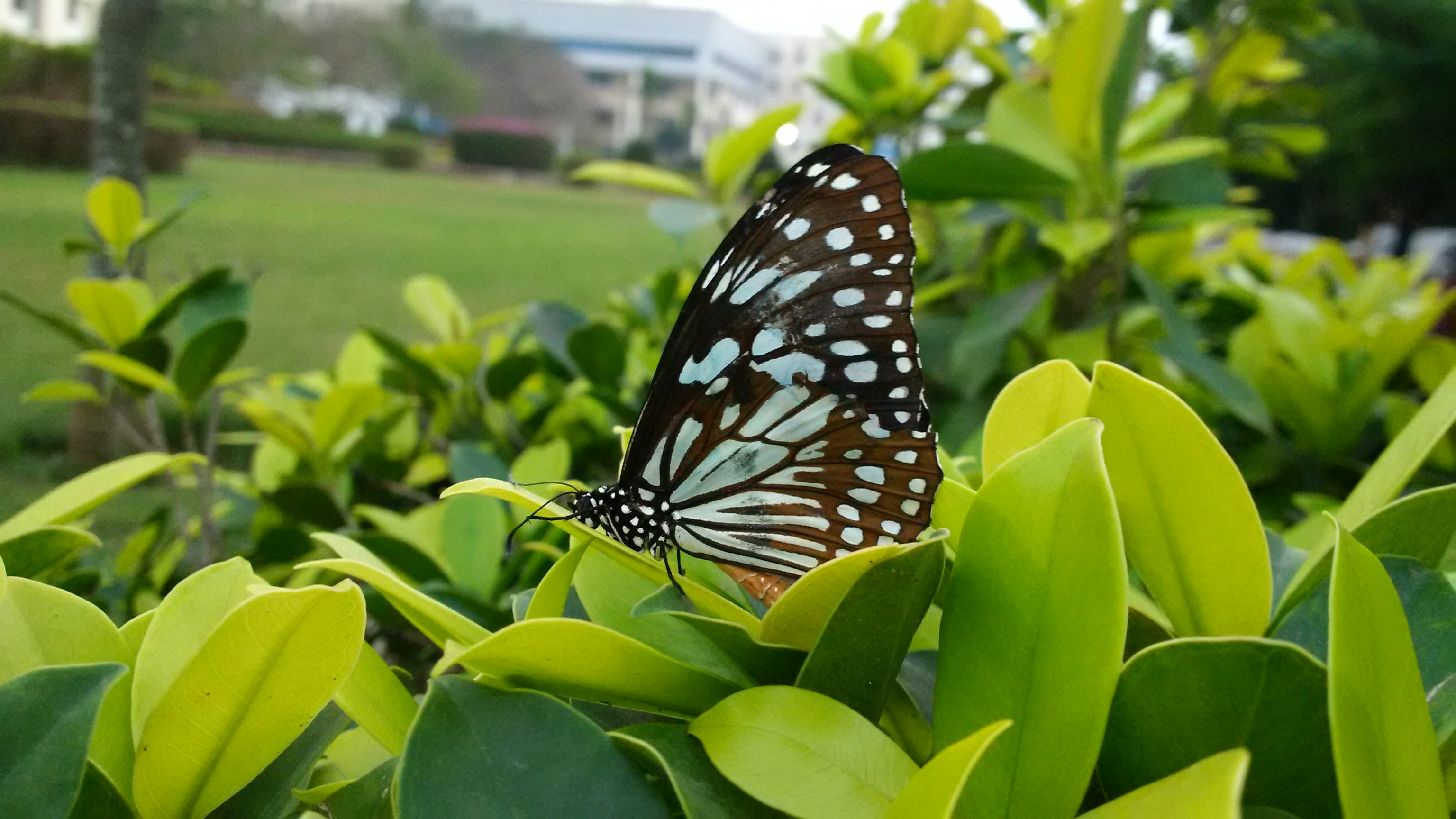 Free Unsplash photo from Jayanth Chowdary