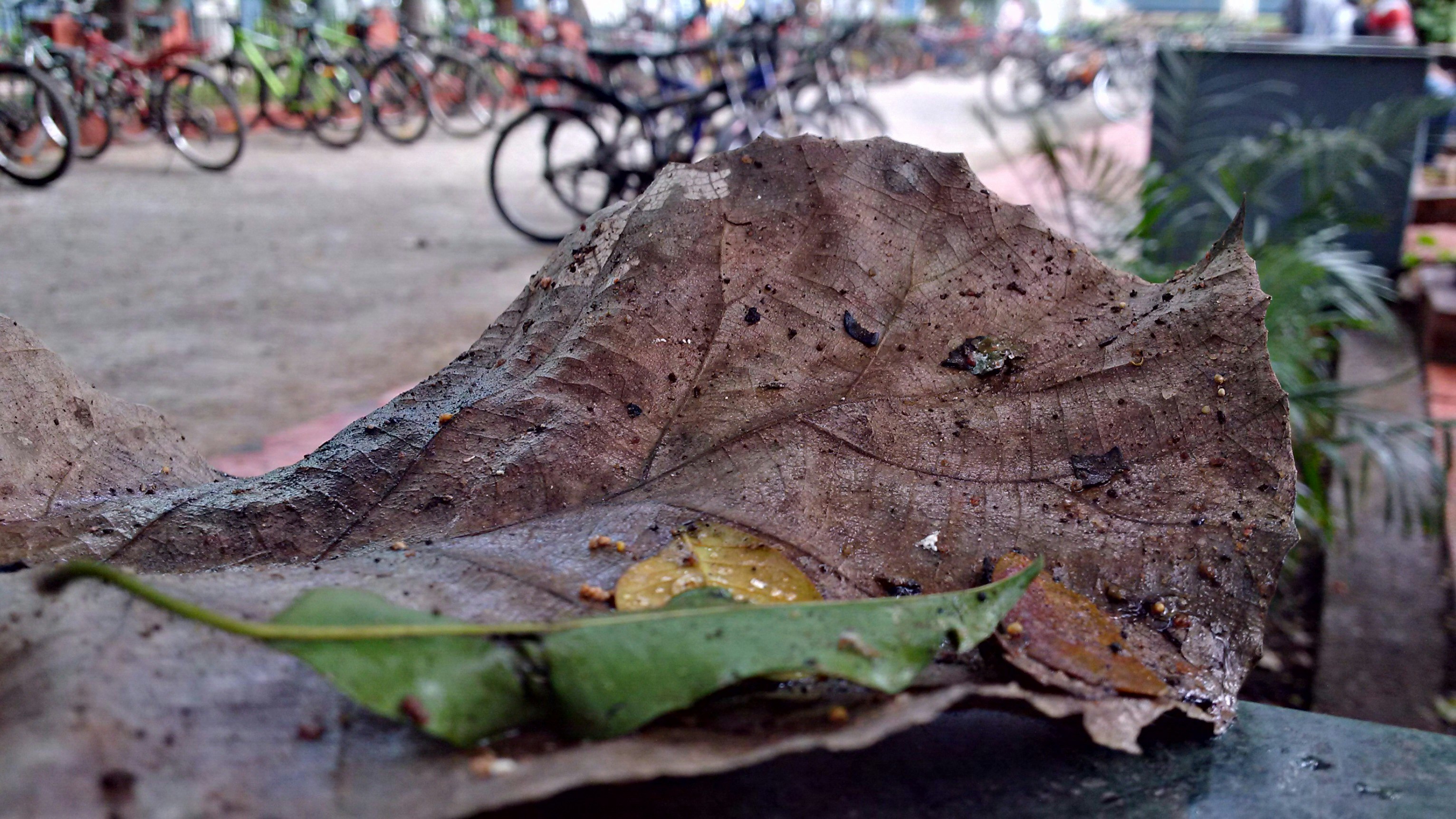 Free Unsplash photo from Jayanth Chowdary