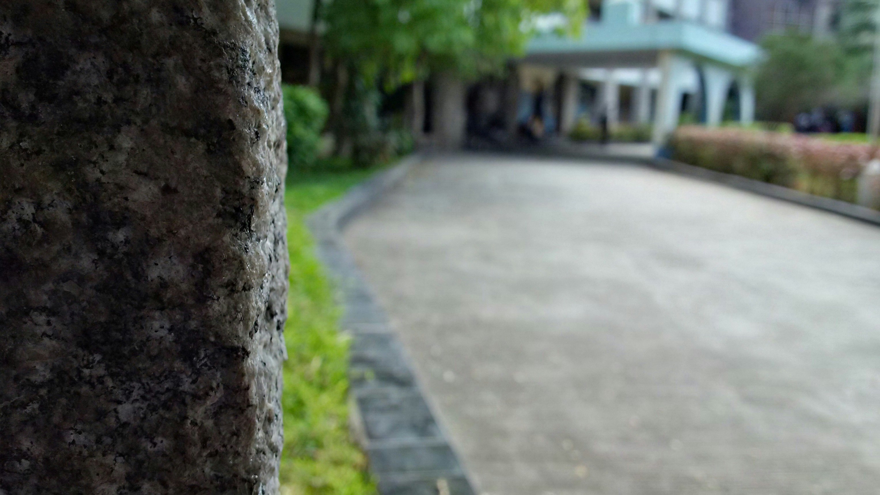 Free Unsplash photo from Jayanth Chowdary