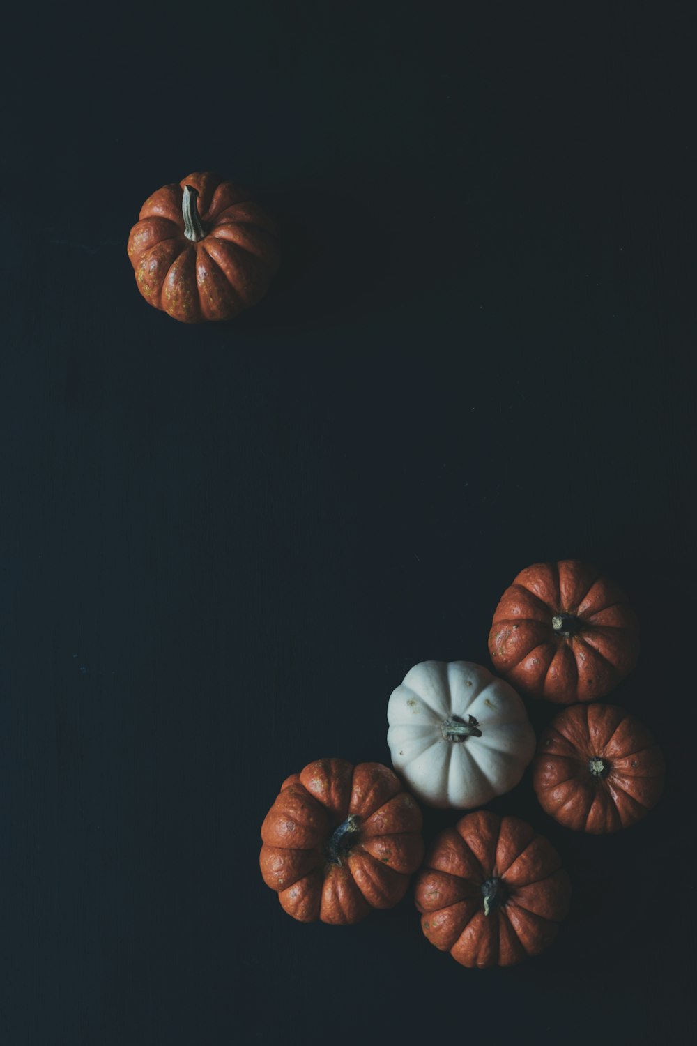 20 Best Free Halloween Pictures On Unsplash