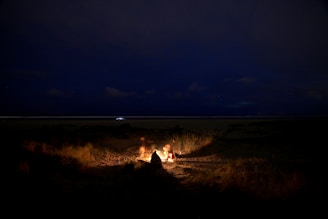 A night scene on a beach with a small campfire casting a warm glow onto the sandy ground and surrounding grass. The sky is dark with a few scattered clouds visible. In the distance, a faint line suggests the horizon, separating the beach from the night sky.