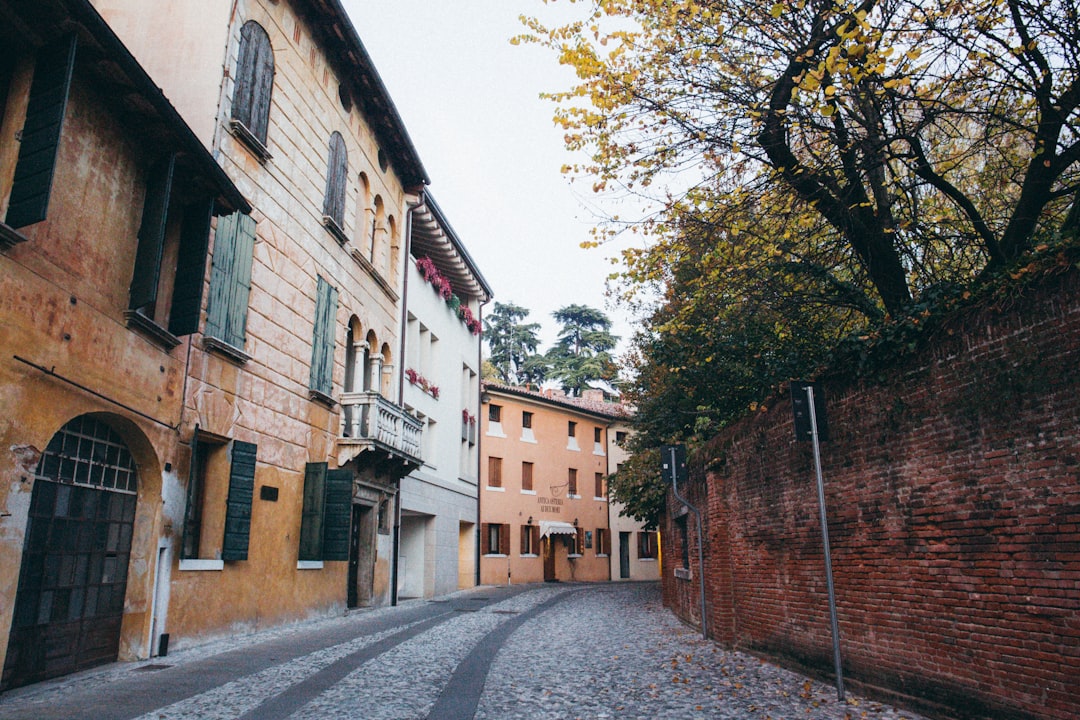 pathway in between of bricked wall and houses