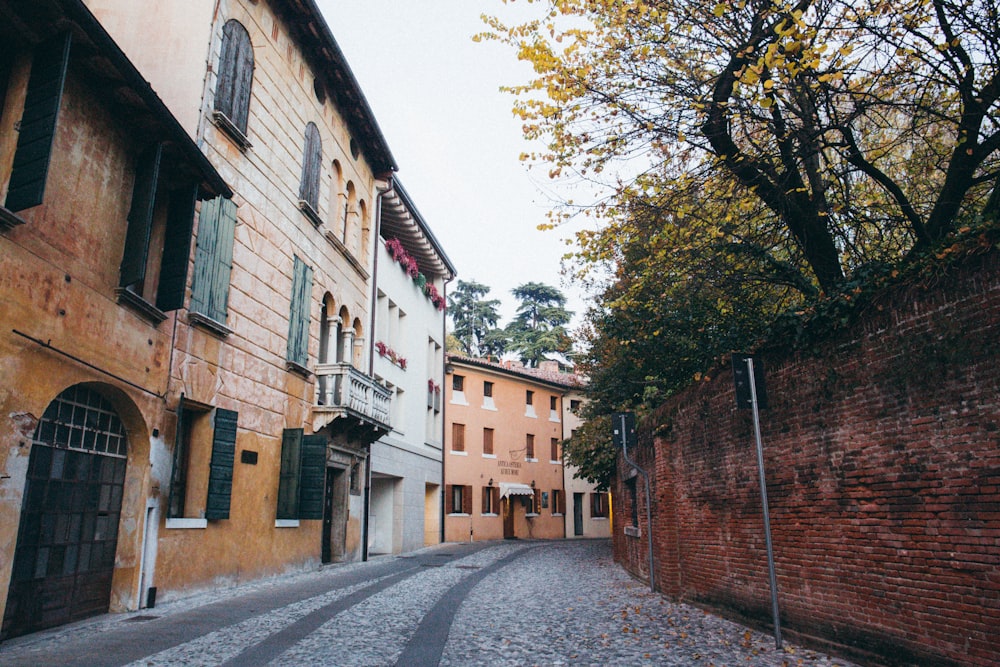 pathway in between of bricked wall and houses