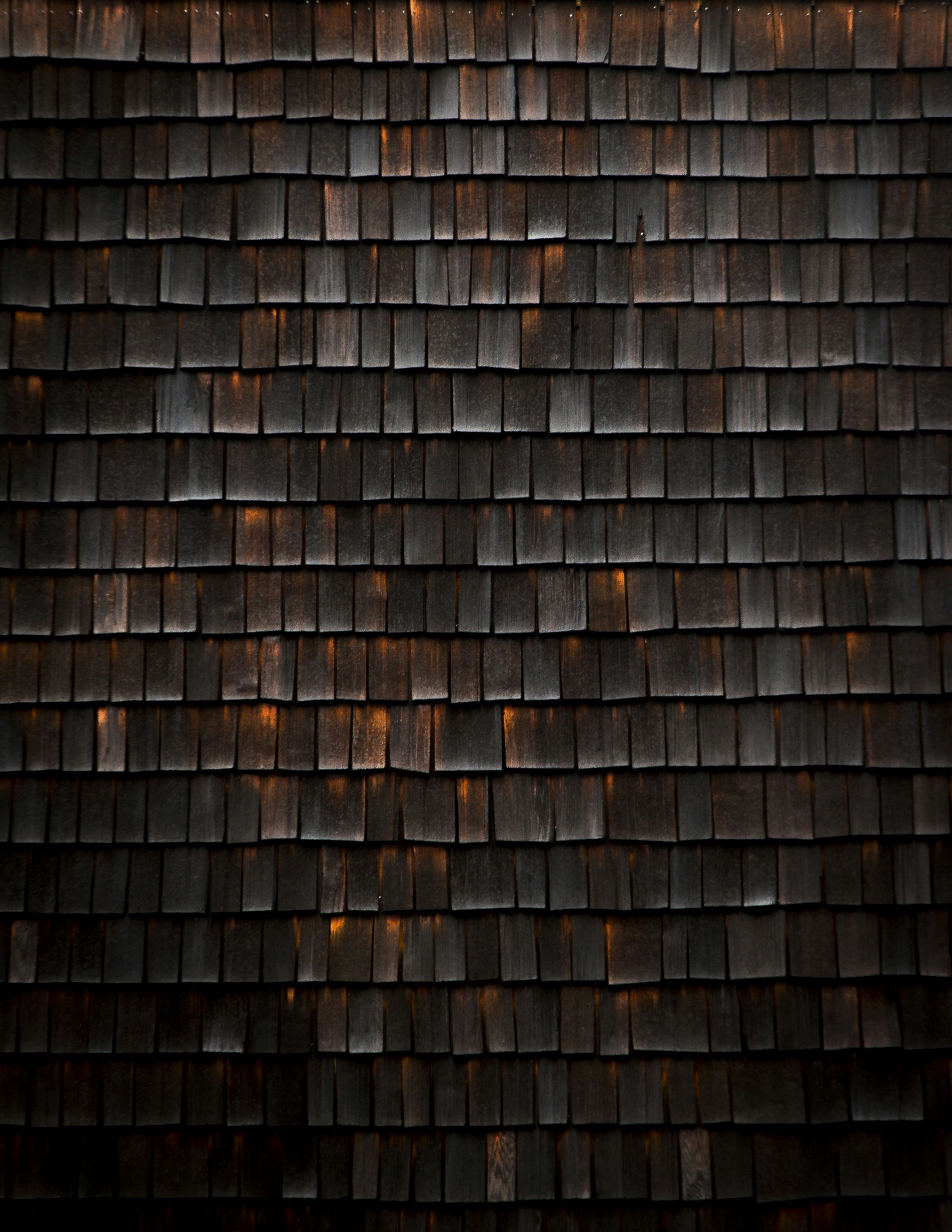 Free Unsplash photo from Steve Halama