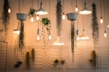 assorted pendant lamp lot