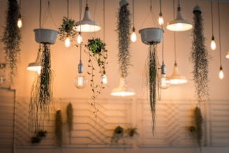 LED Grow Lights for indoor herbs