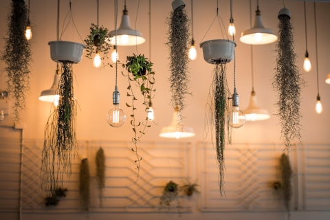 LED Grow Lights for indoor herbs