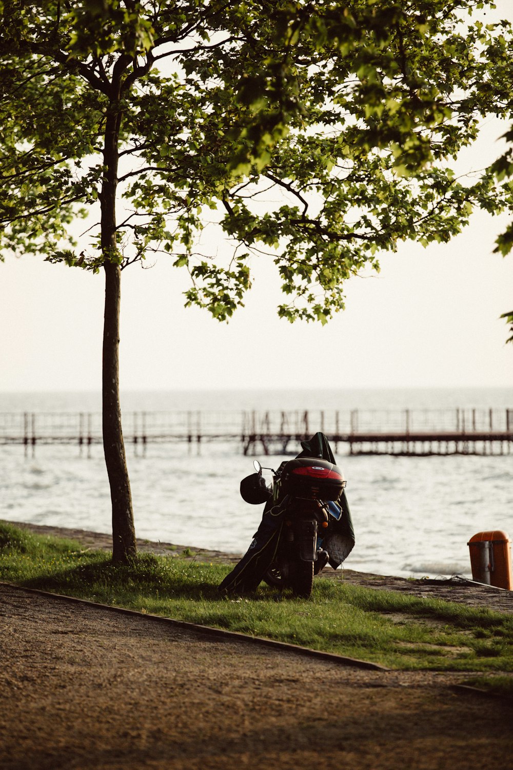 black and red motorcycle parked beside tree near sea