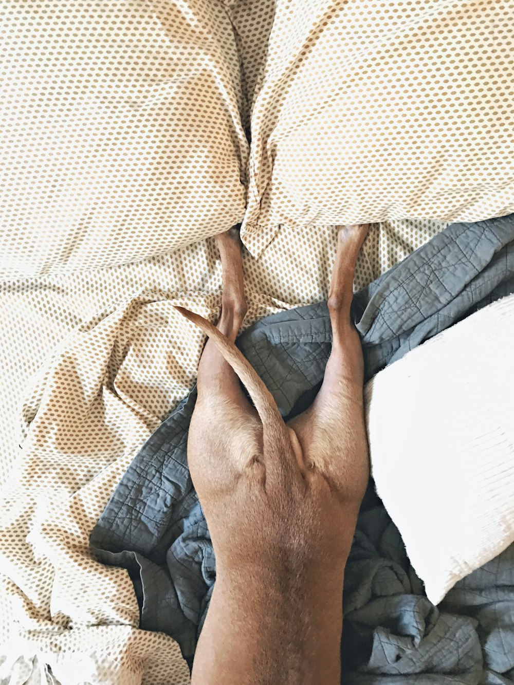 a person laying on a bed with a pillow