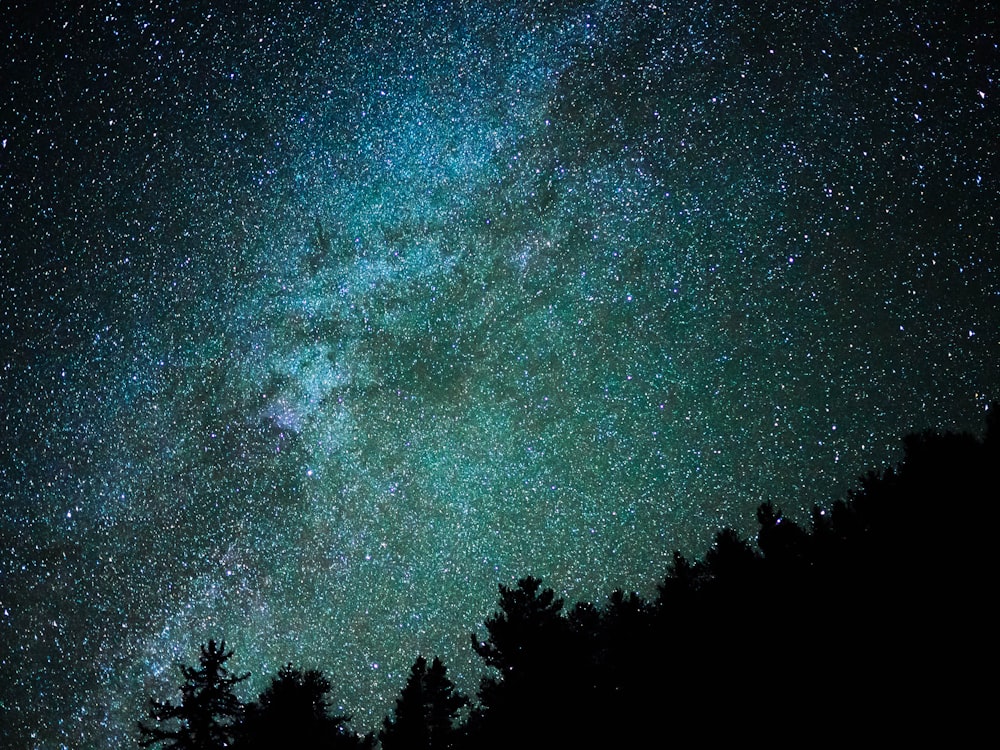 silhouette of trees showing stars during night time