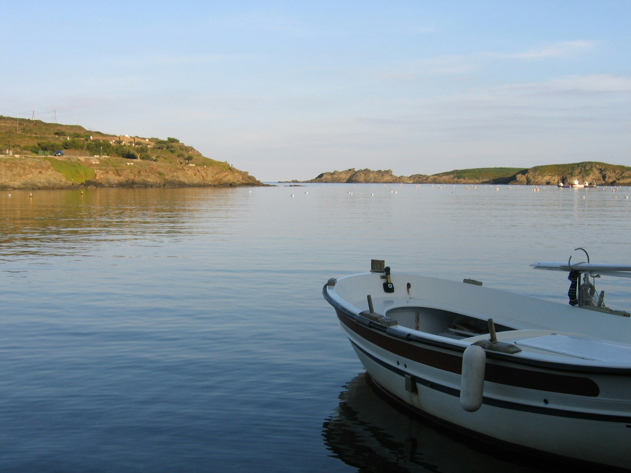 Free Unsplash photo from Carlos Hernandez