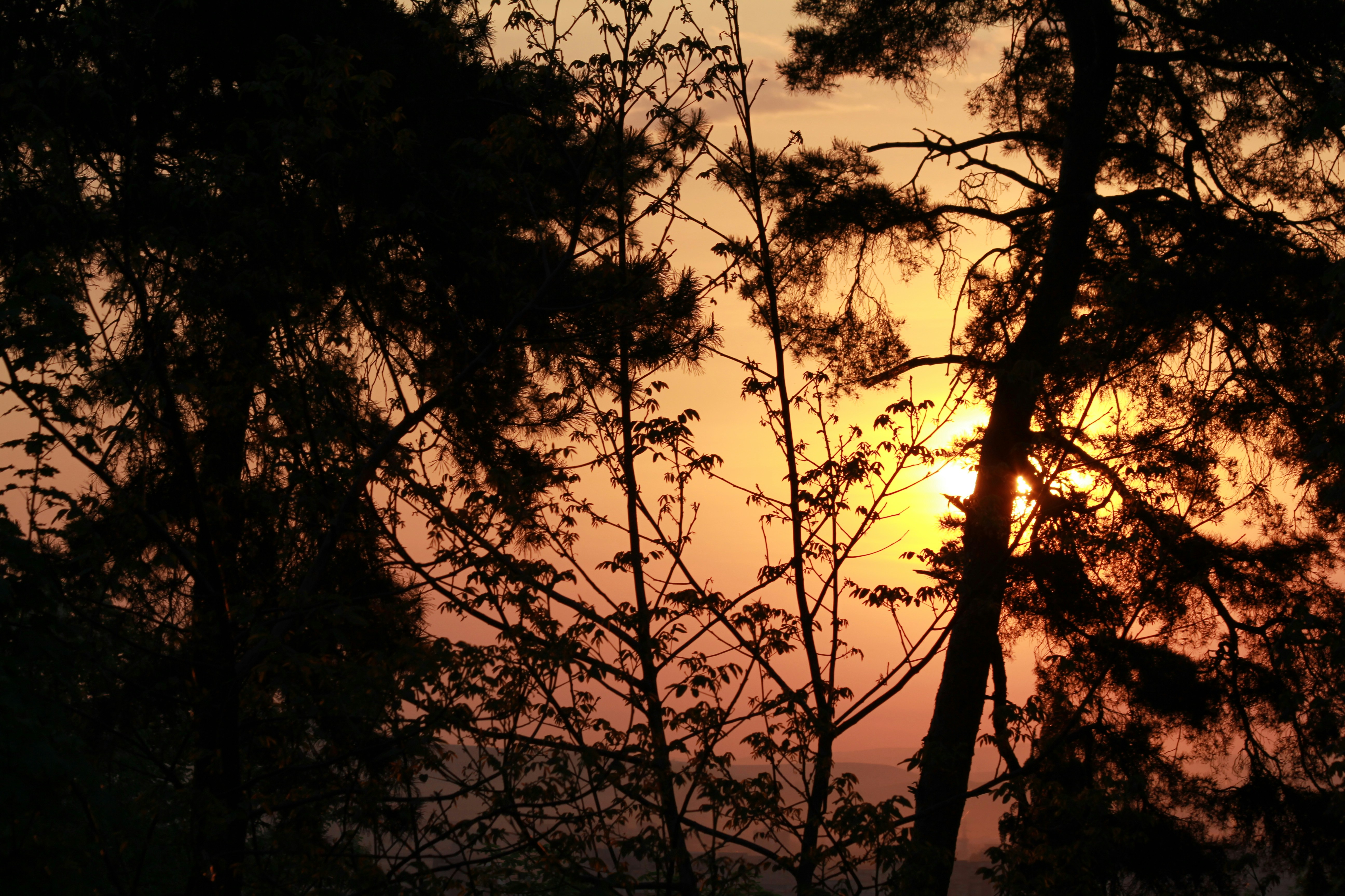 Free Unsplash photo from Ratiu Bia