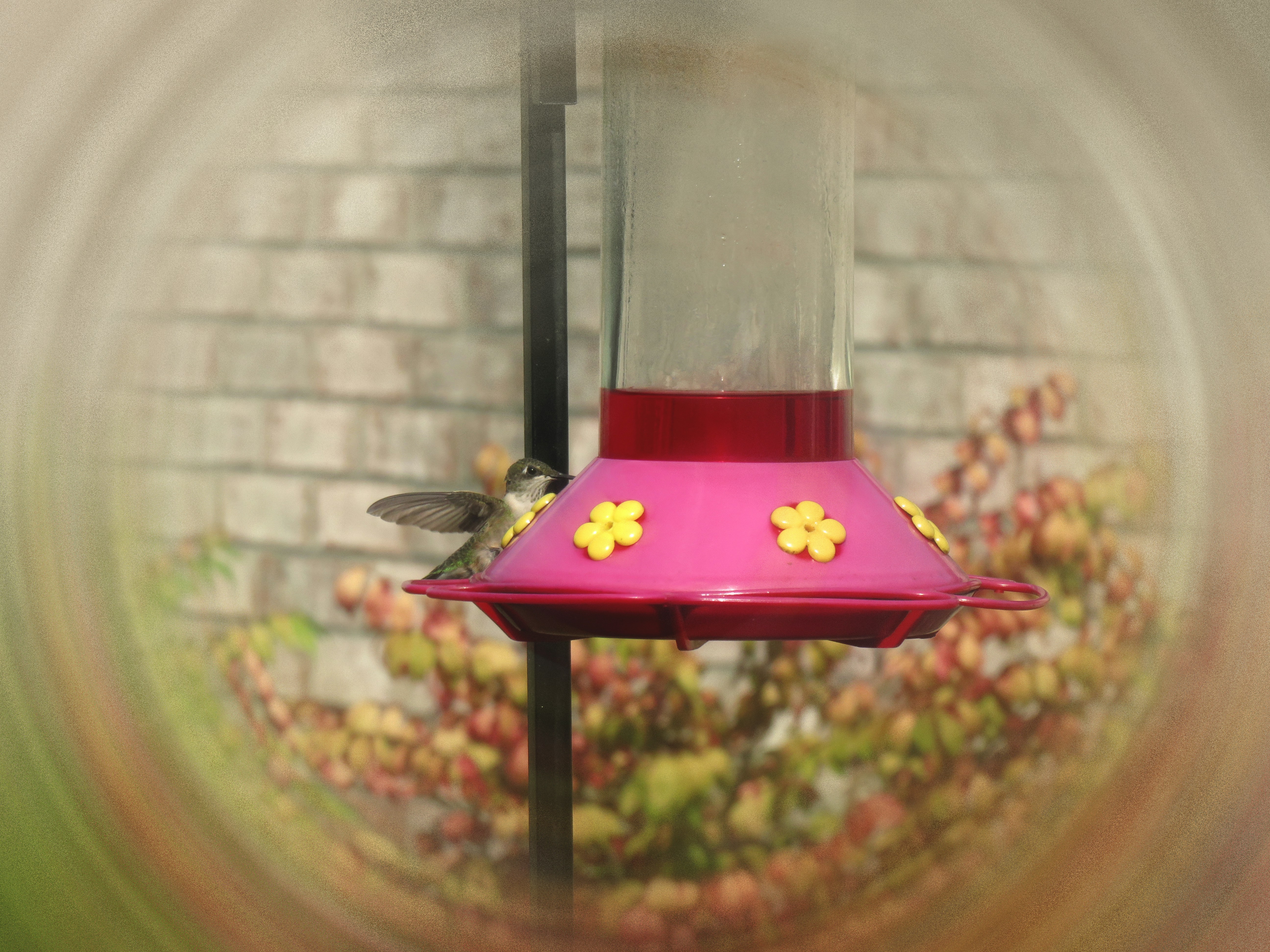 Free Unsplash photo from Fredson Joseph